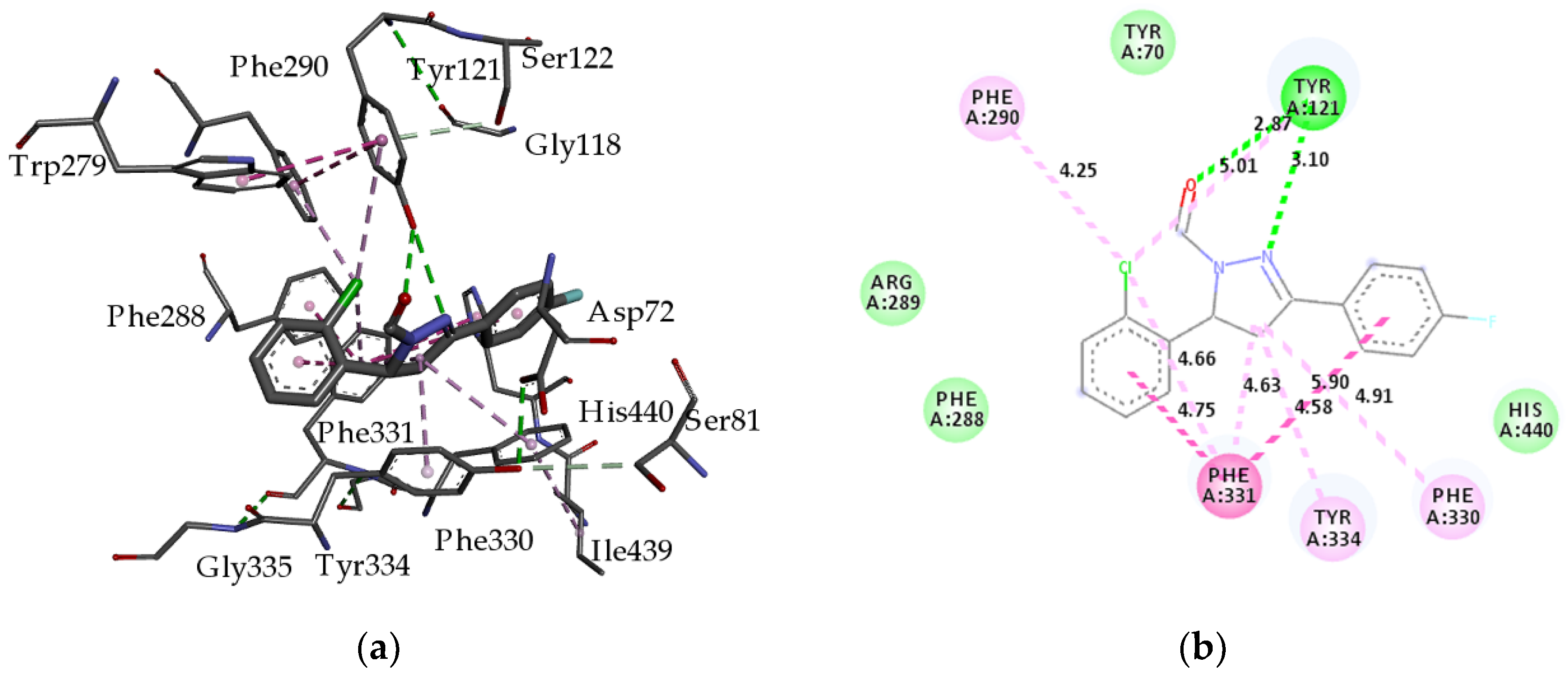 Ijms 24 09335 g004 Ijms 24 09335 g004