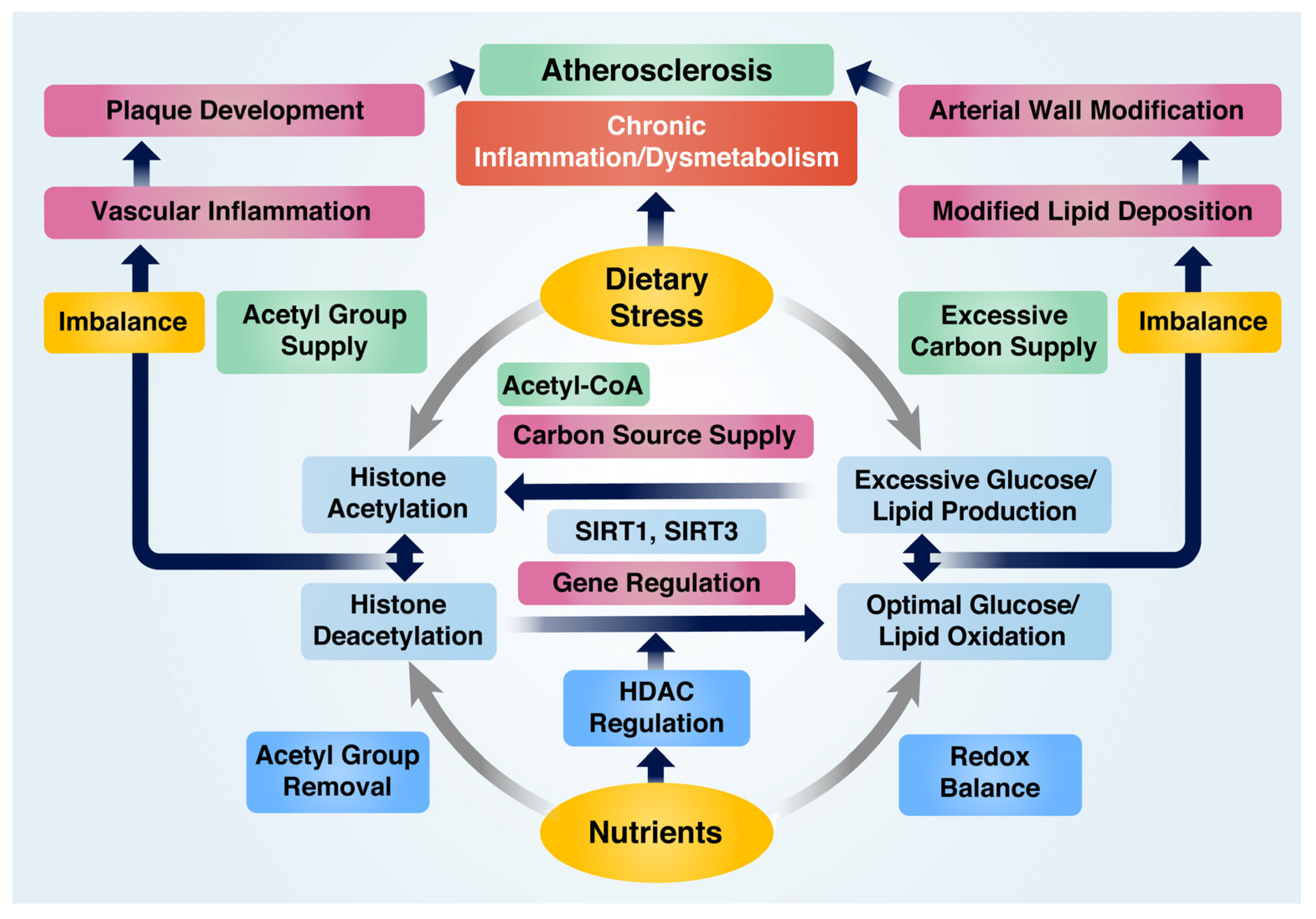 Ijms 24 09338 g002 Ijms 24 09338 g002