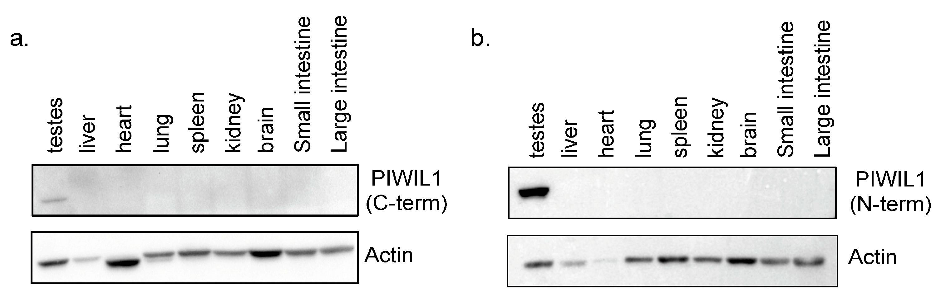Ijms 24 09346 g003 Ijms 24 09346 g003