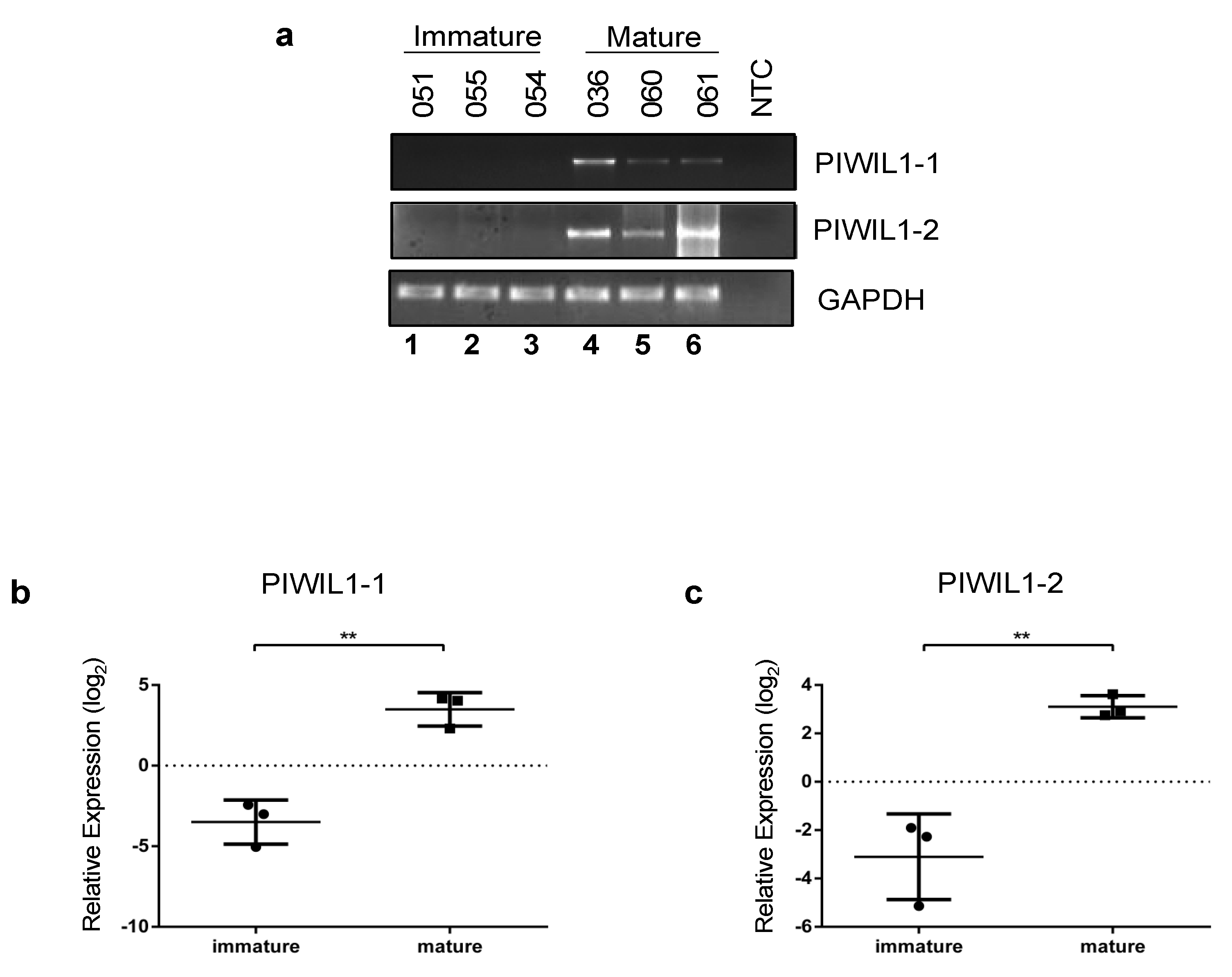 Ijms 24 09346 g004 Ijms 24 09346 g004