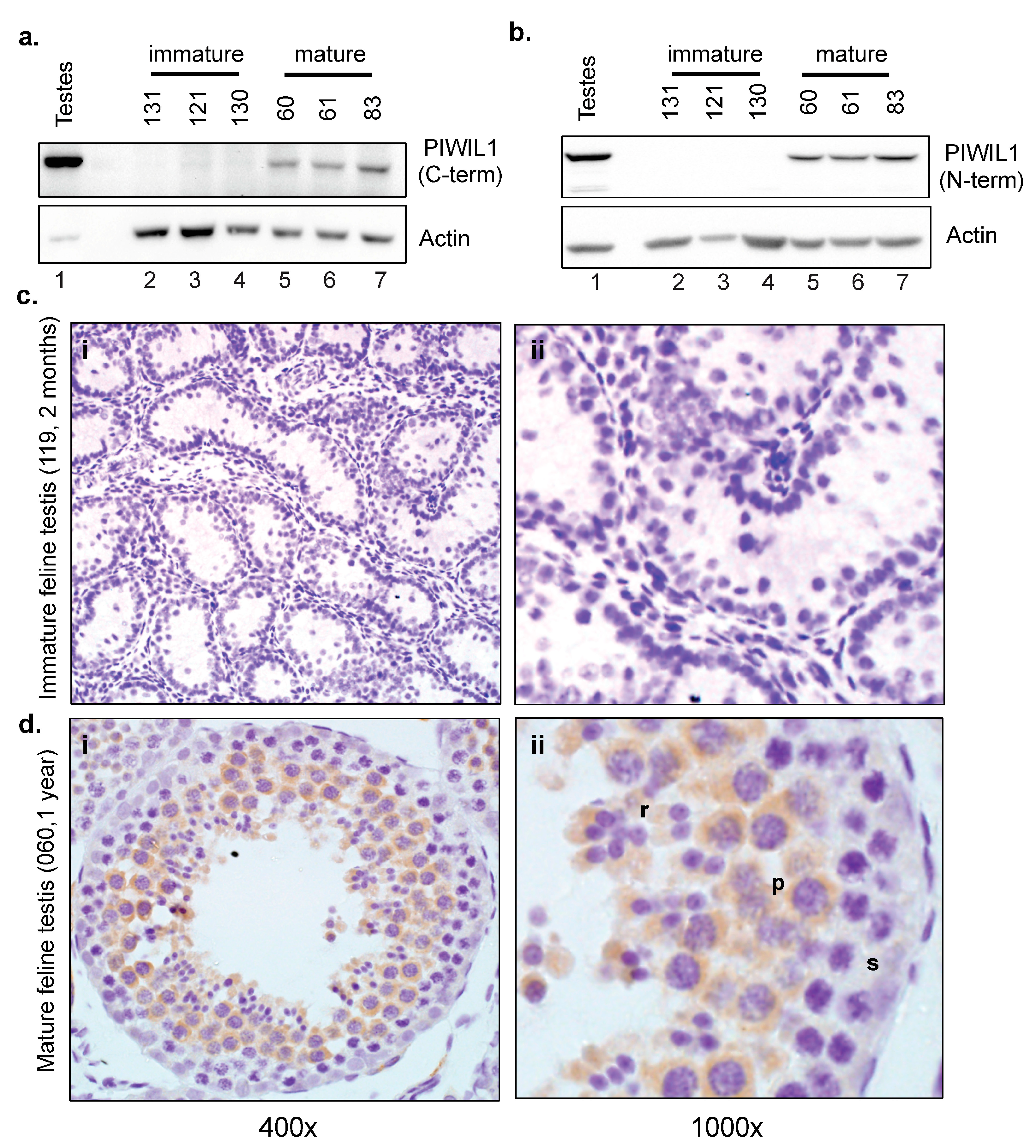 Ijms 24 09346 g005 Ijms 24 09346 g005