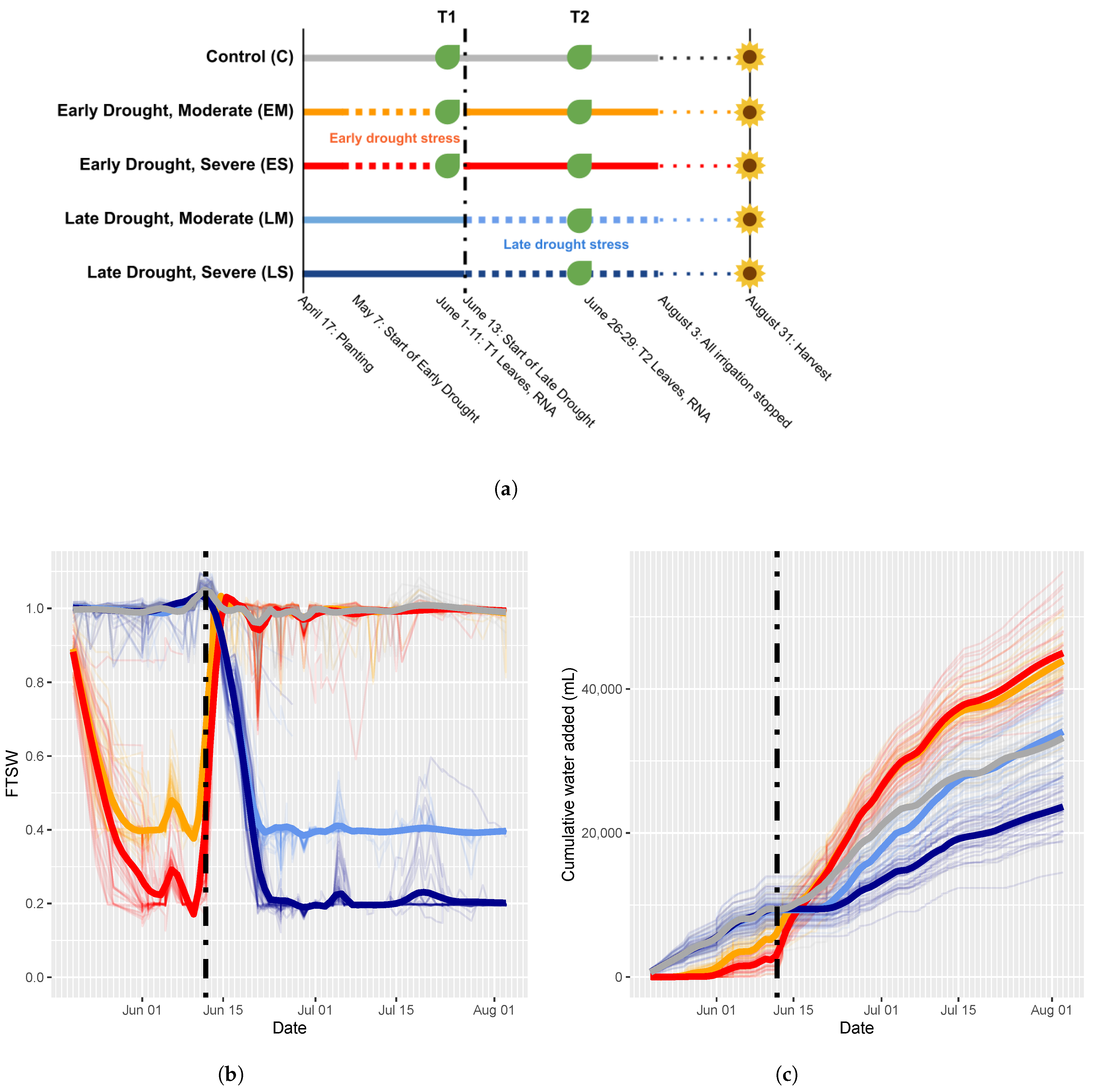 Ijms 24 09351 g001 Ijms 24 09351 g001