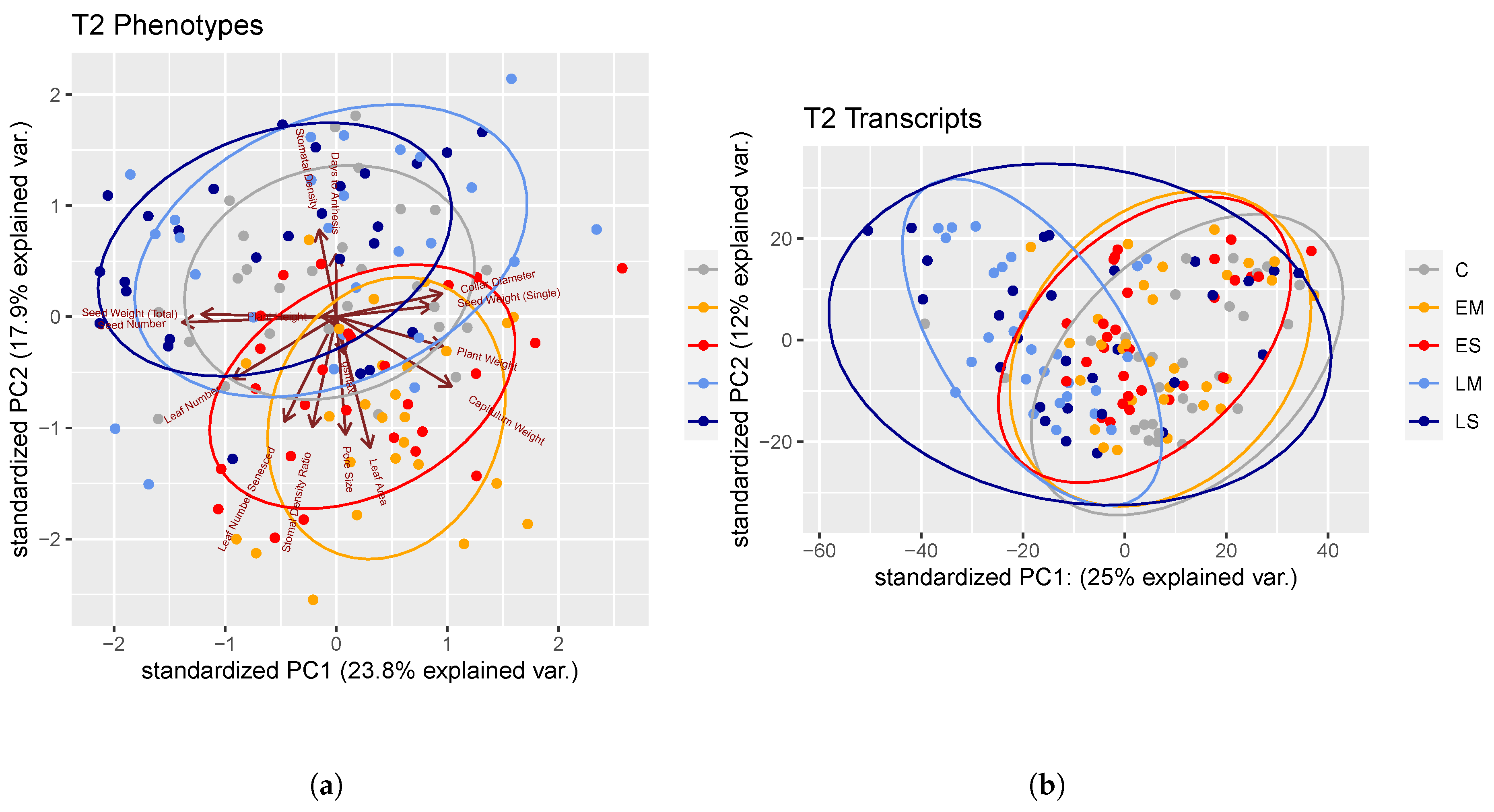 Ijms 24 09351 g003 Ijms 24 09351 g003
