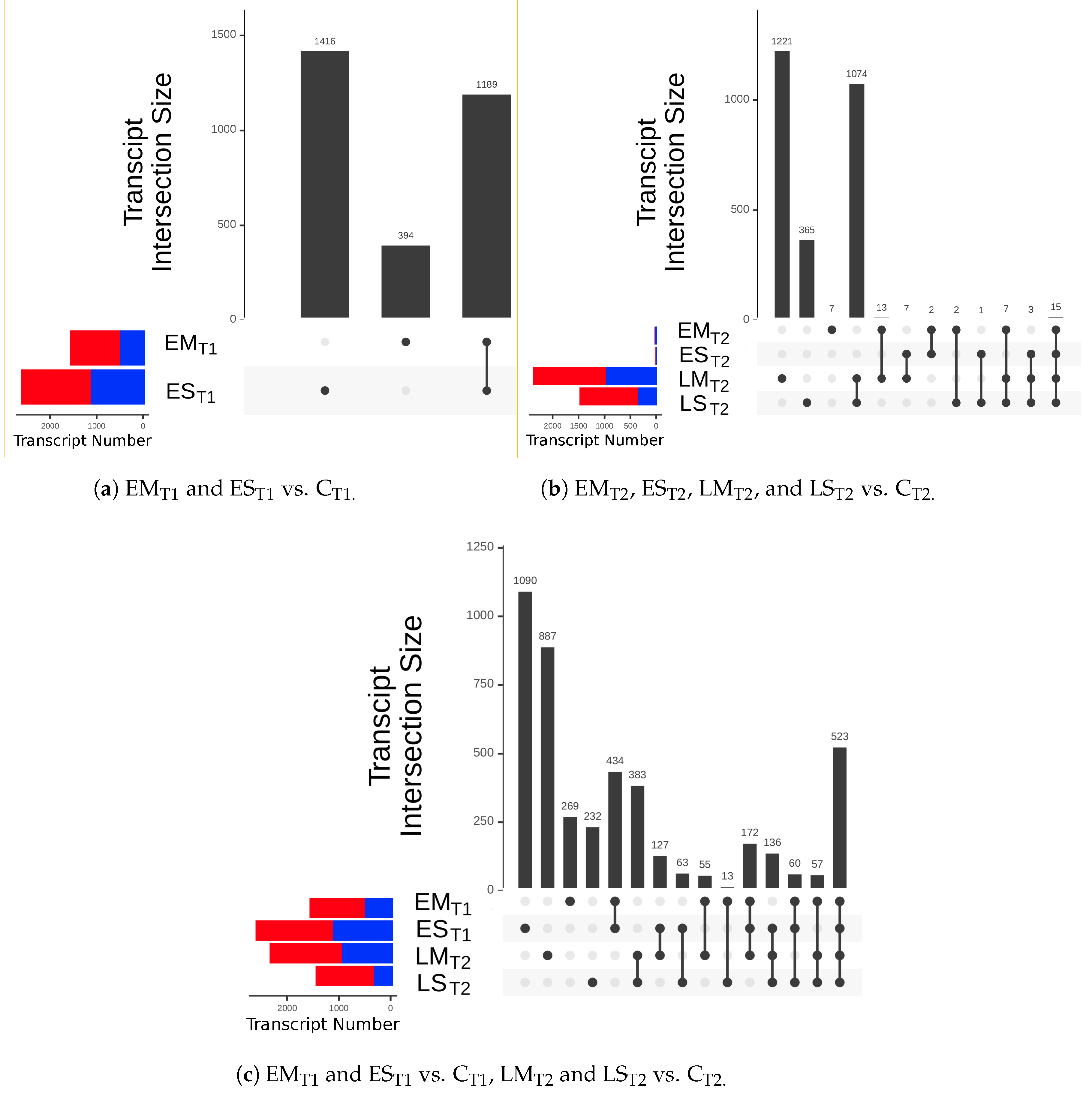 Ijms 24 09351 g004 Ijms 24 09351 g004