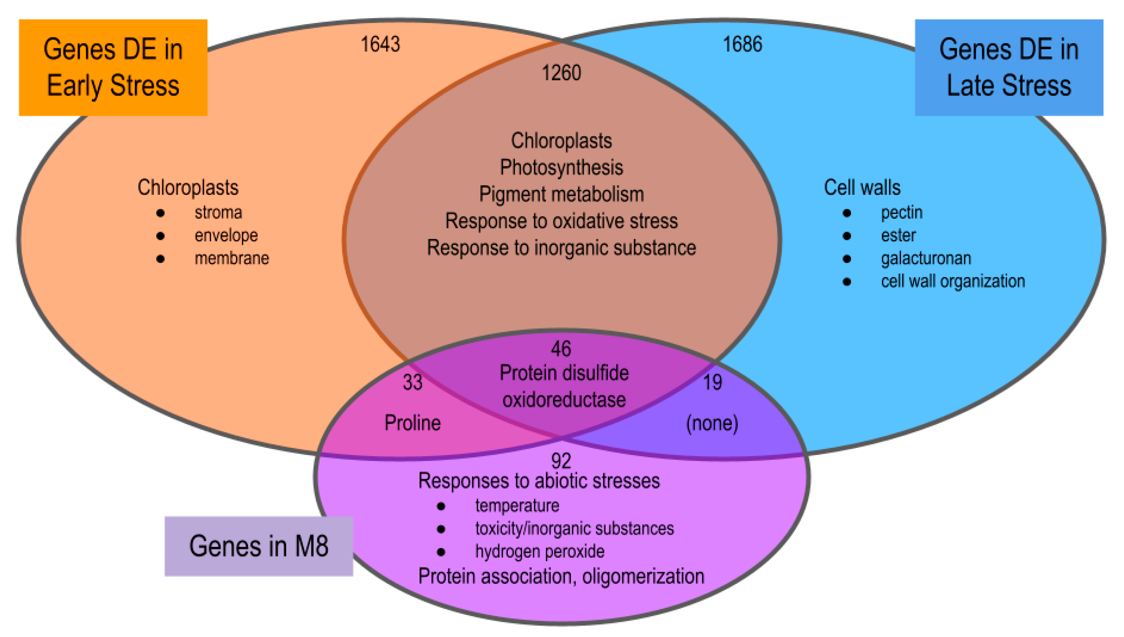 Ijms 24 09351 g006 Ijms 24 09351 g006