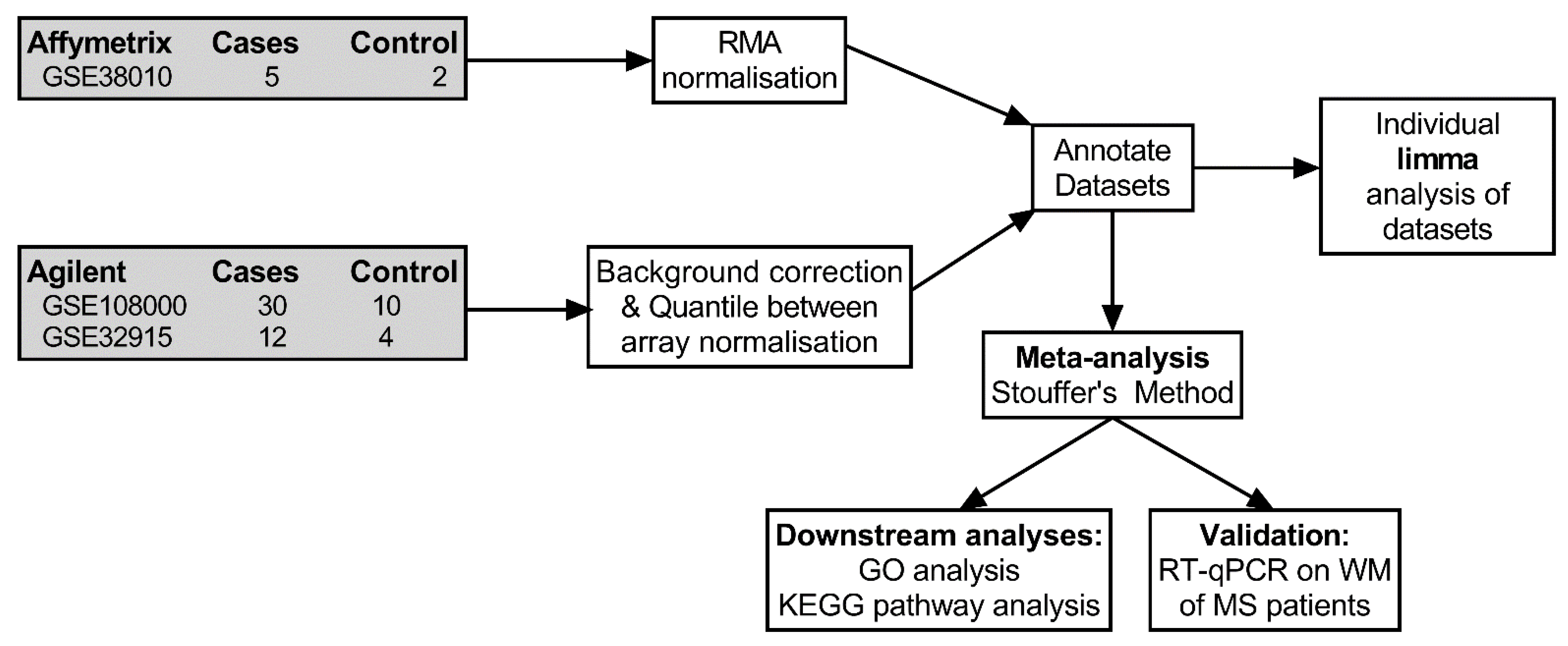Ijms 24 09361 g001 Ijms 24 09361 g001