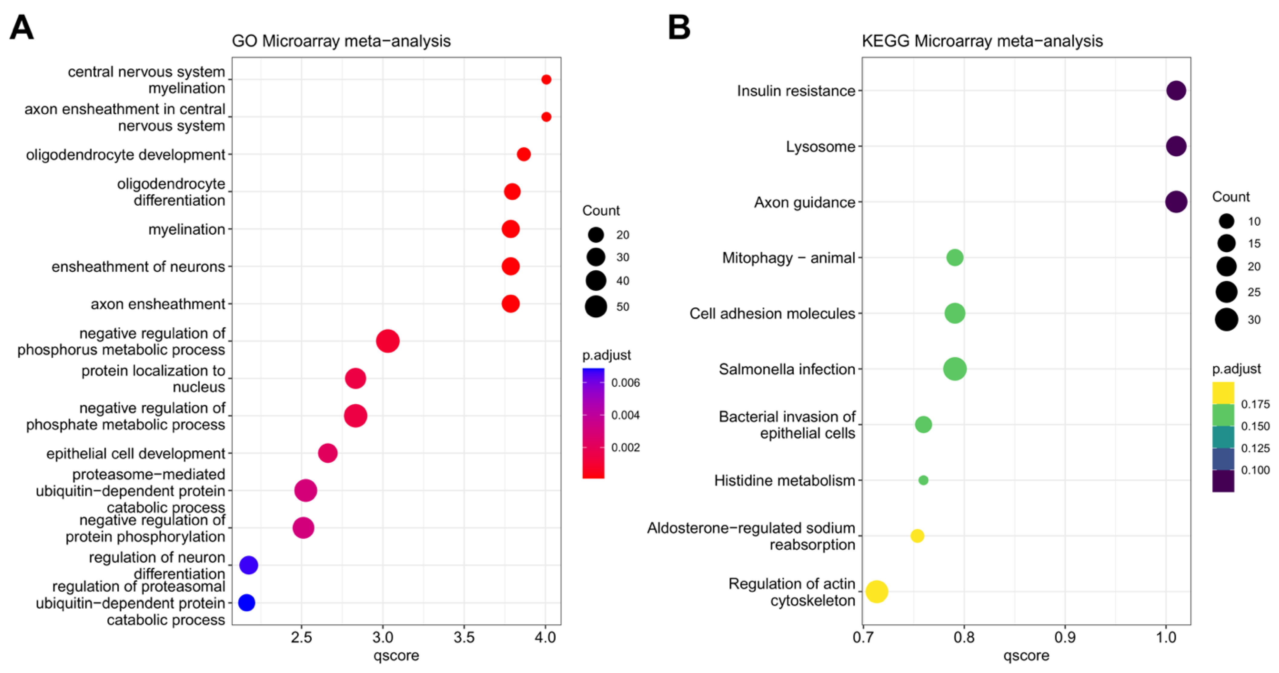 Ijms 24 09361 g002 Ijms 24 09361 g002