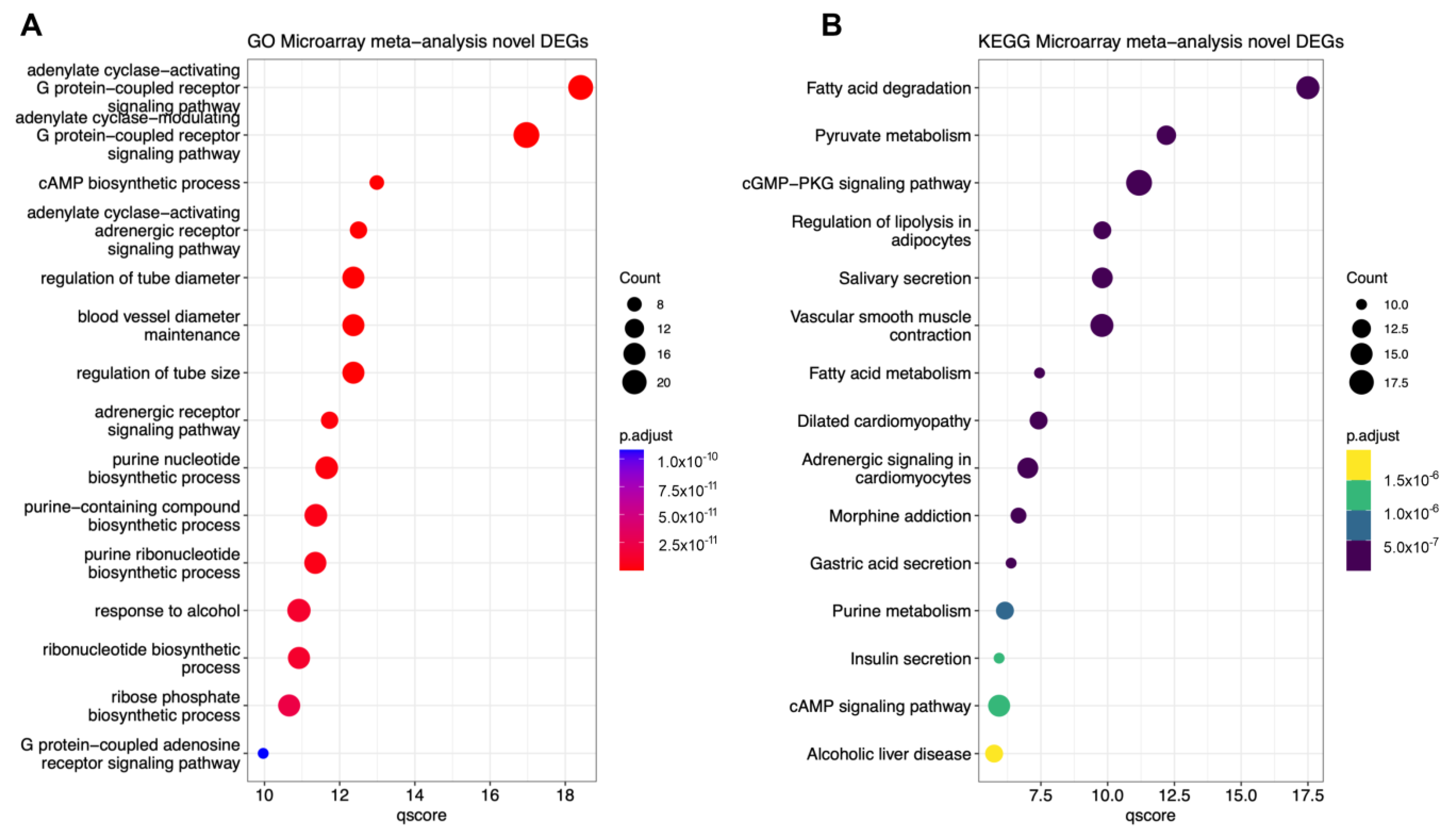 Ijms 24 09361 g004 Ijms 24 09361 g004