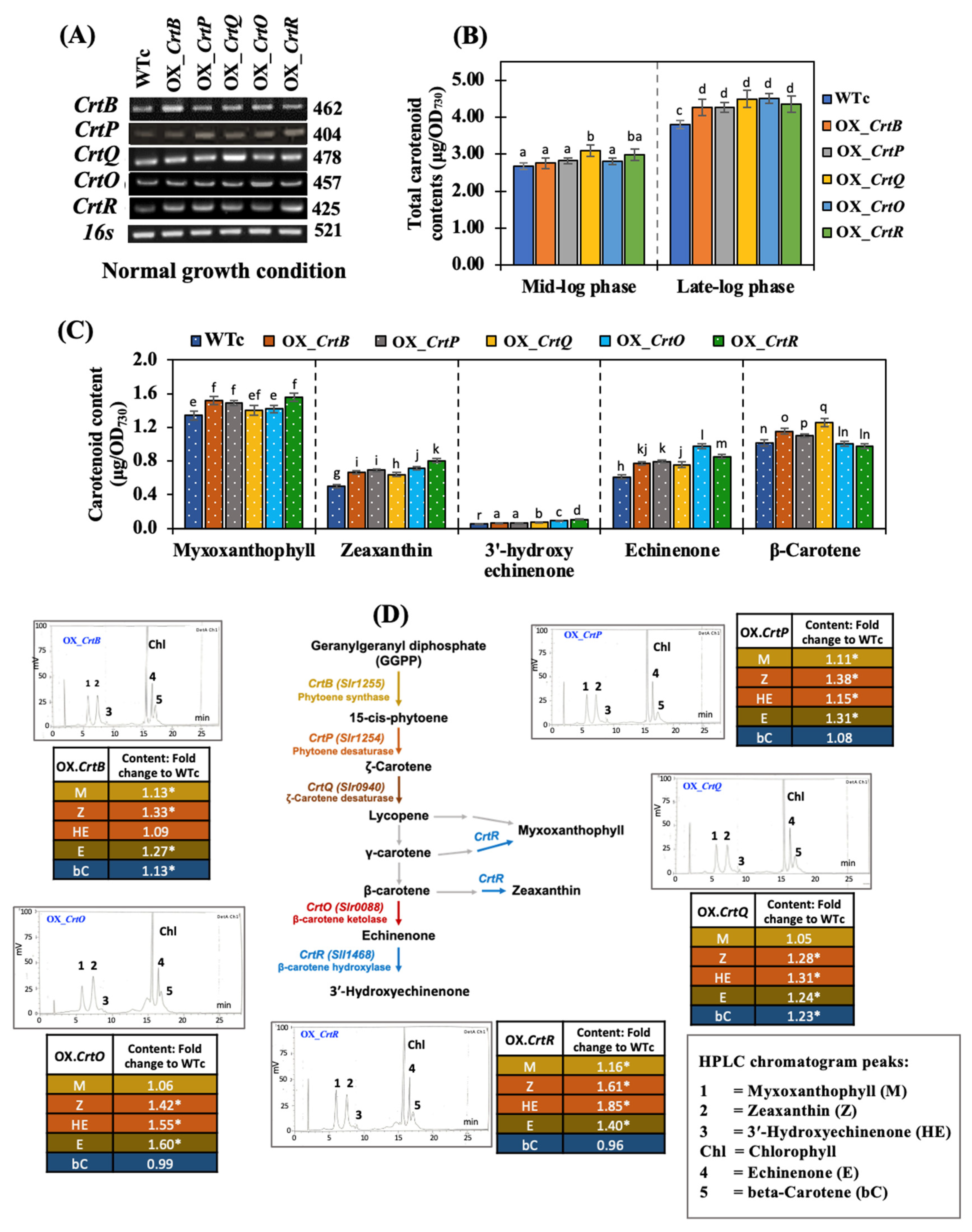 Ijms 24 09370 g003 Ijms 24 09370 g003