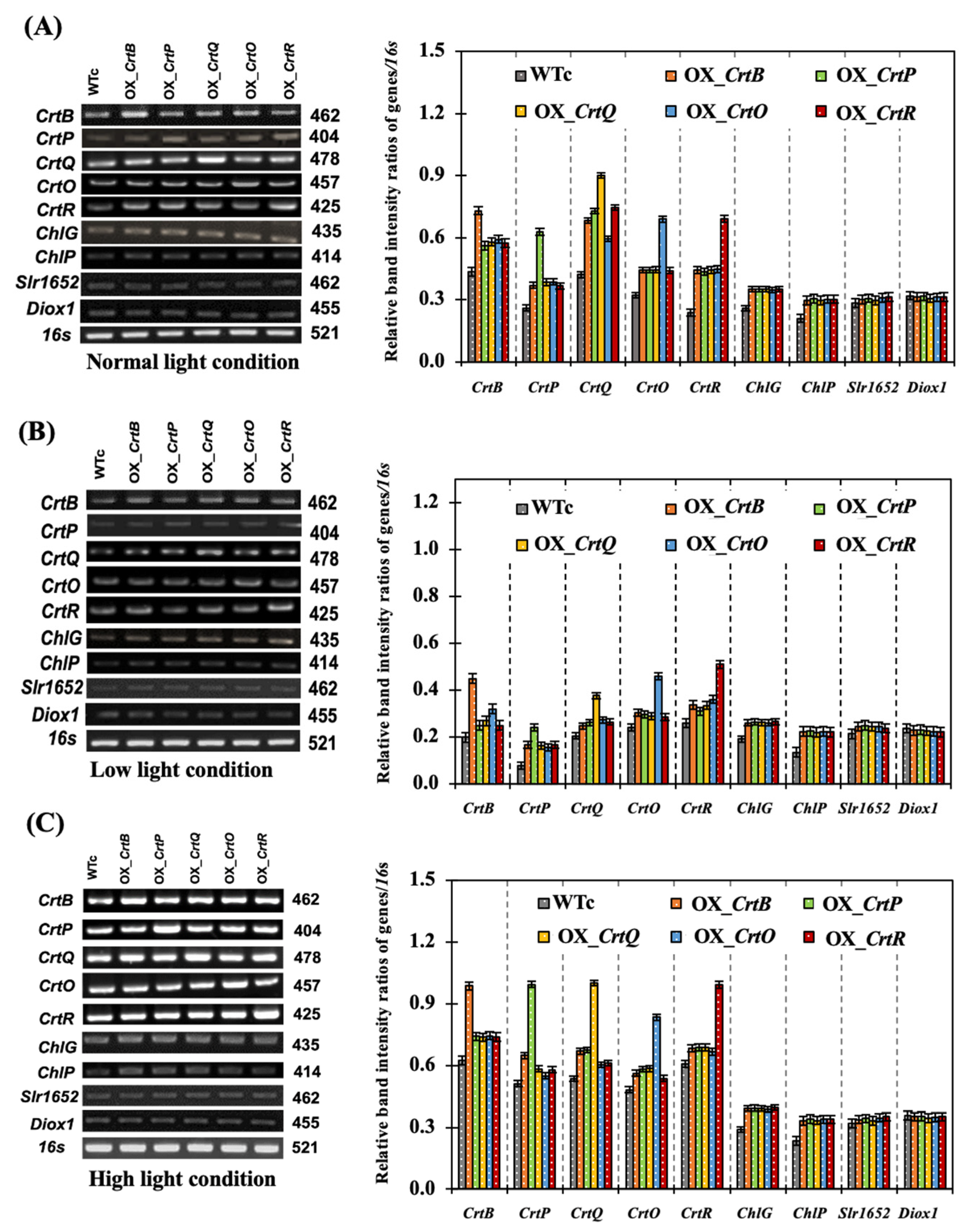 Ijms 24 09370 g008 Ijms 24 09370 g008