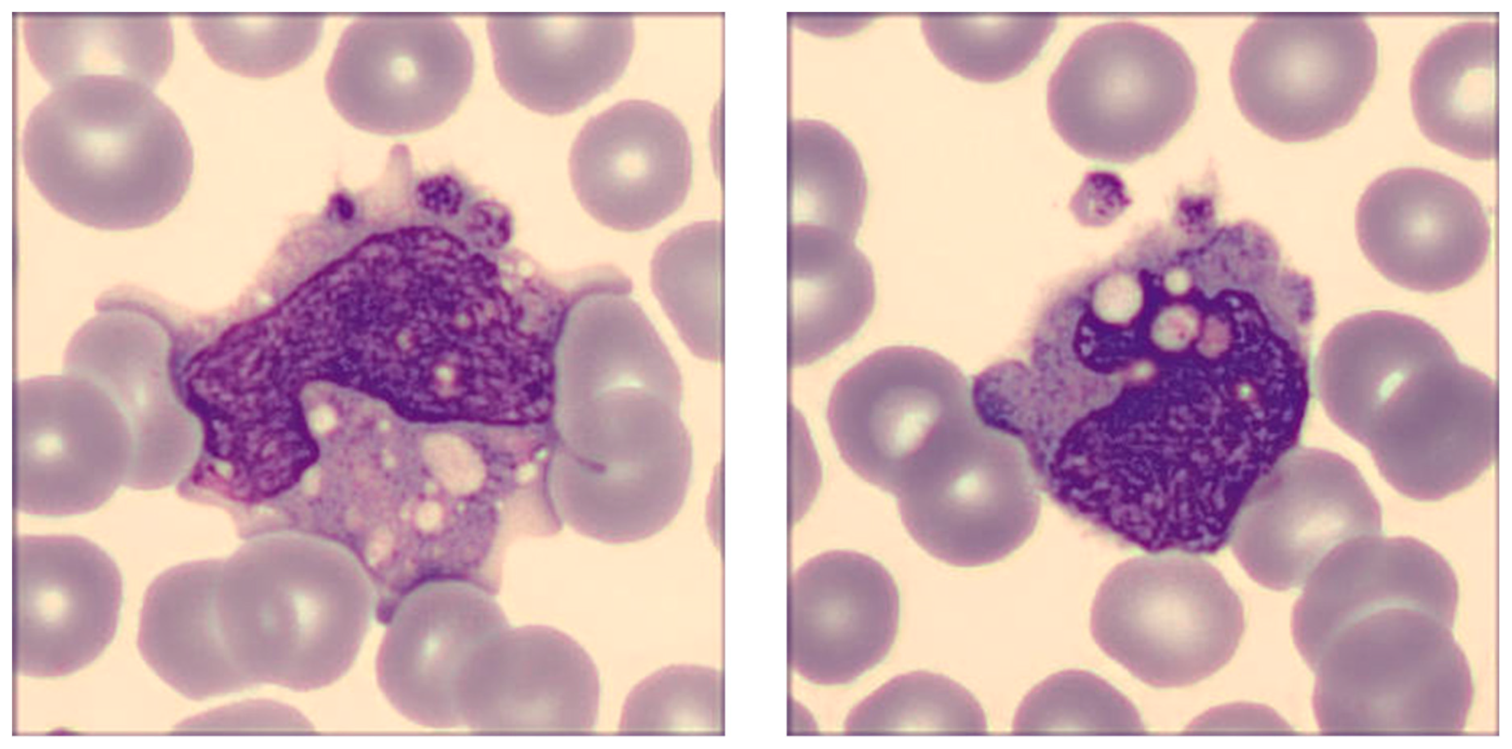 Ijms 24 09373 g004 Ijms 24 09373 g004