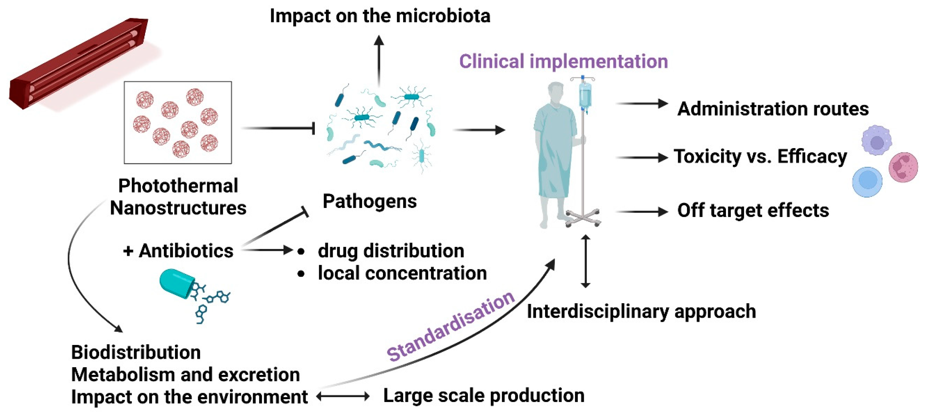 Ijms 24 09375 g002 Ijms 24 09375 g002