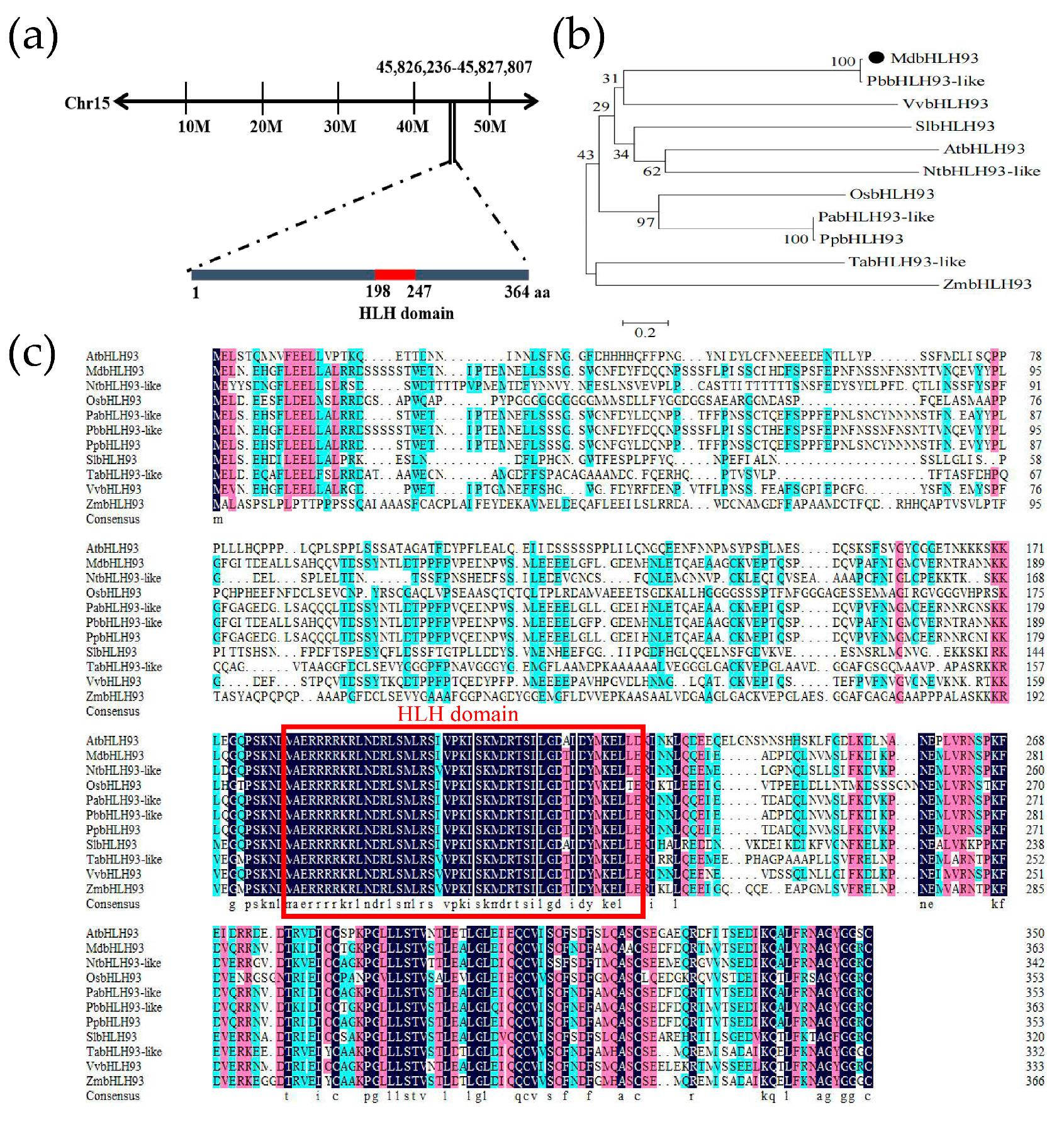 Ijms 24 09390 g001 Ijms 24 09390 g001