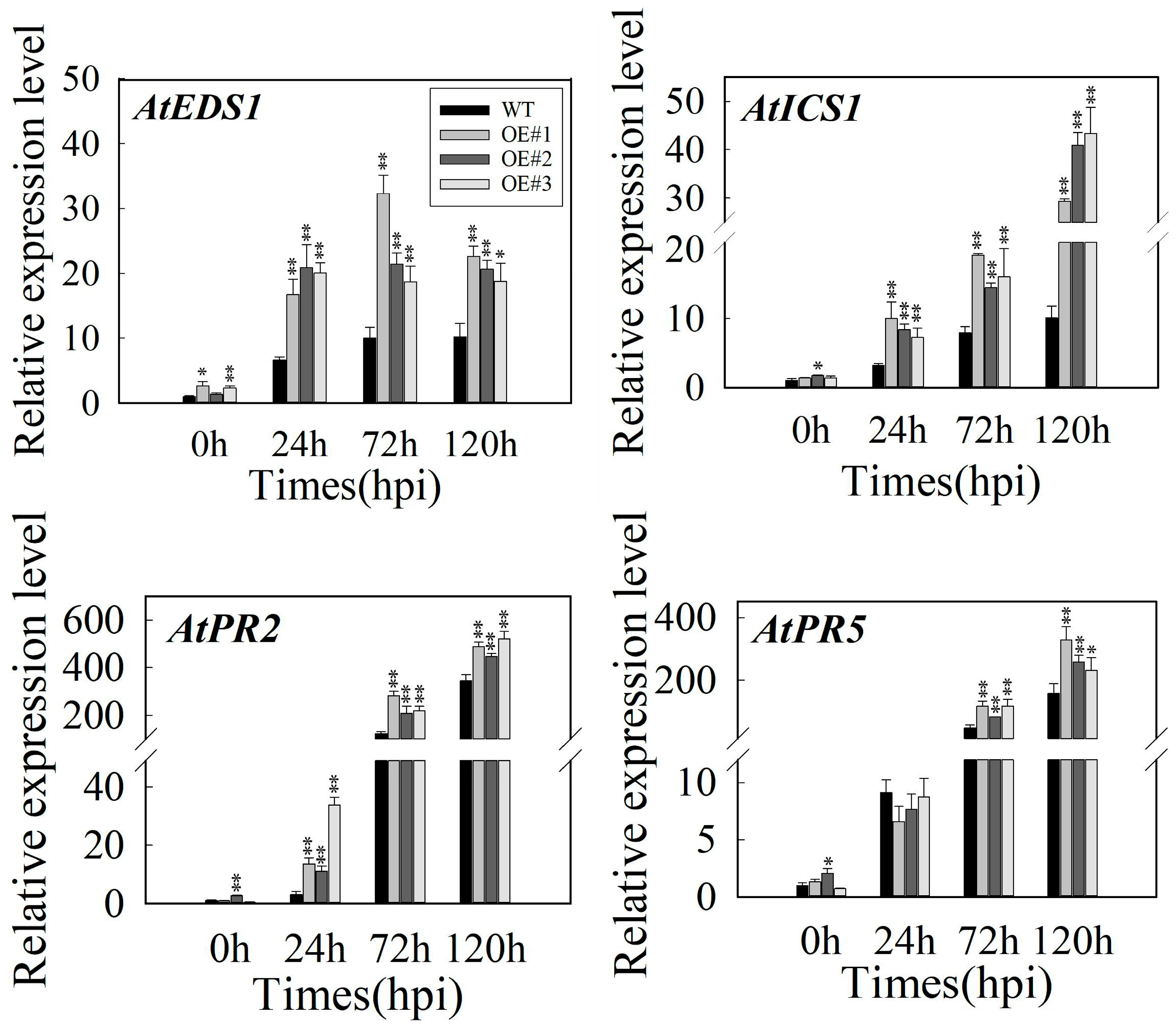 Ijms 24 09390 g004 Ijms 24 09390 g004