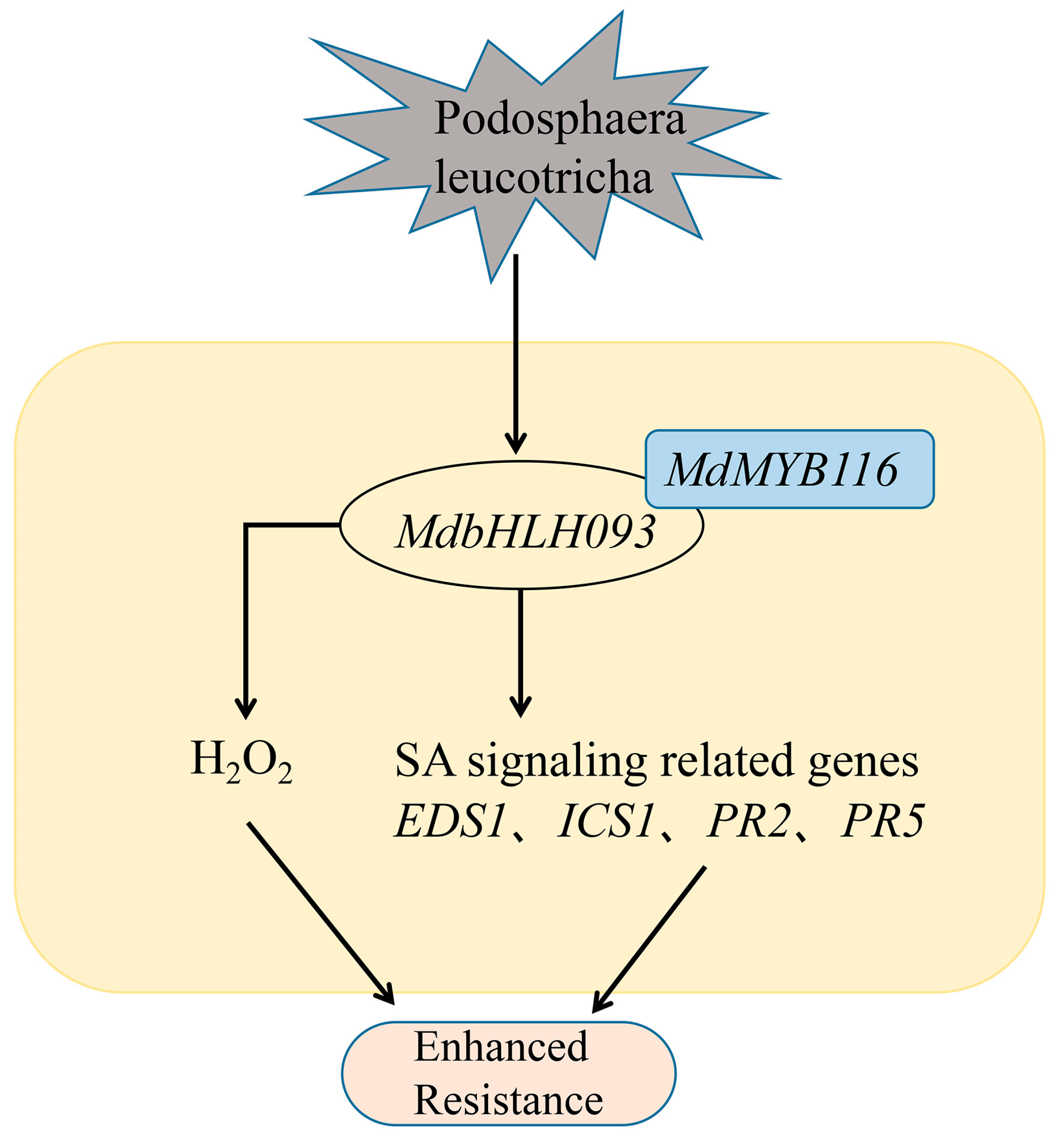 Ijms 24 09390 g008 Ijms 24 09390 g008