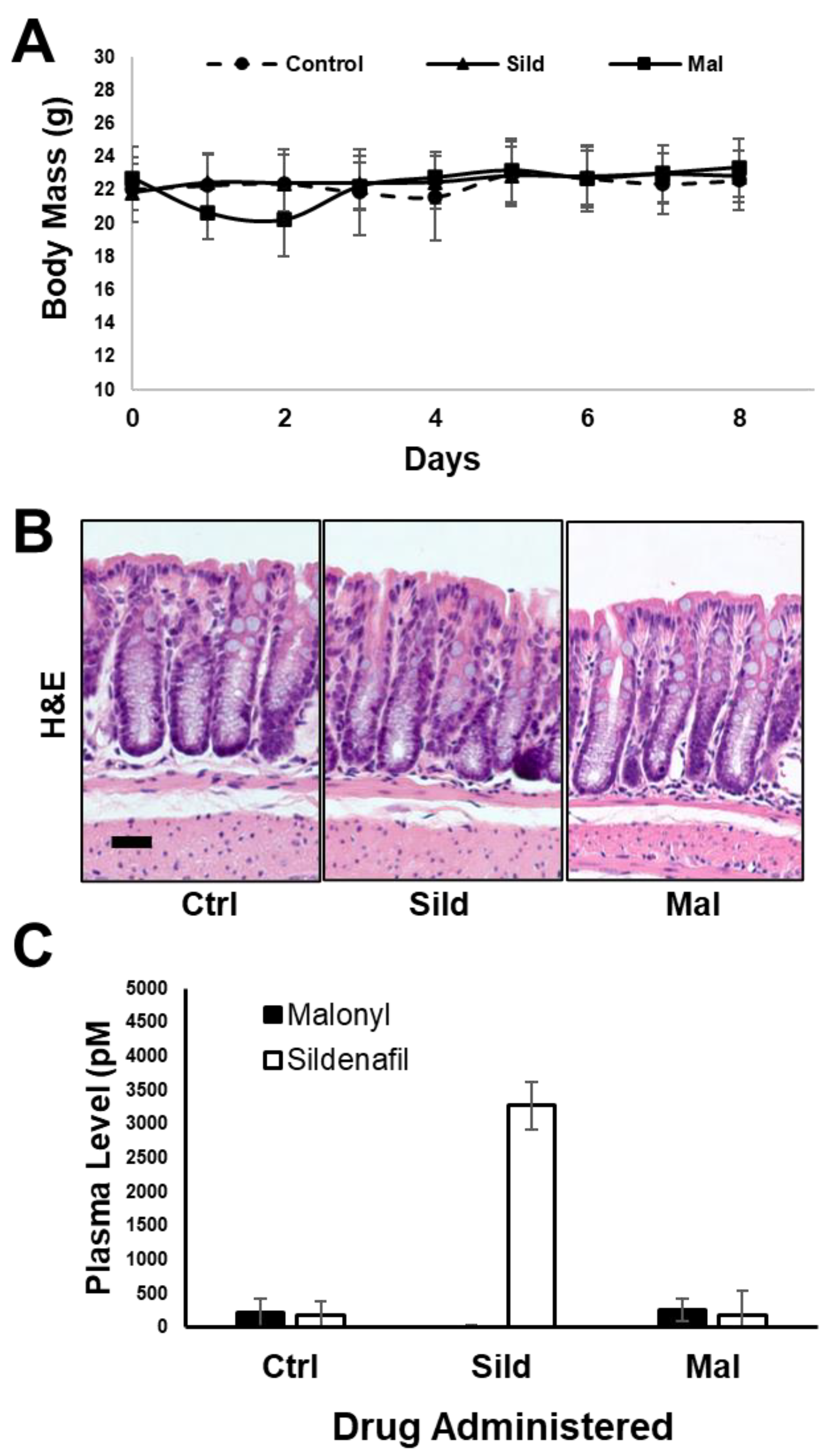 Ijms 24 09397 g006 Ijms 24 09397 g006