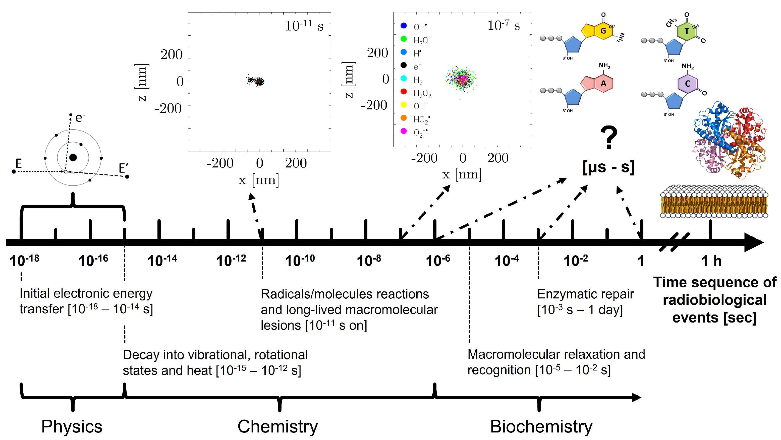 Ijms 24 09398 g001 Ijms 24 09398 g001