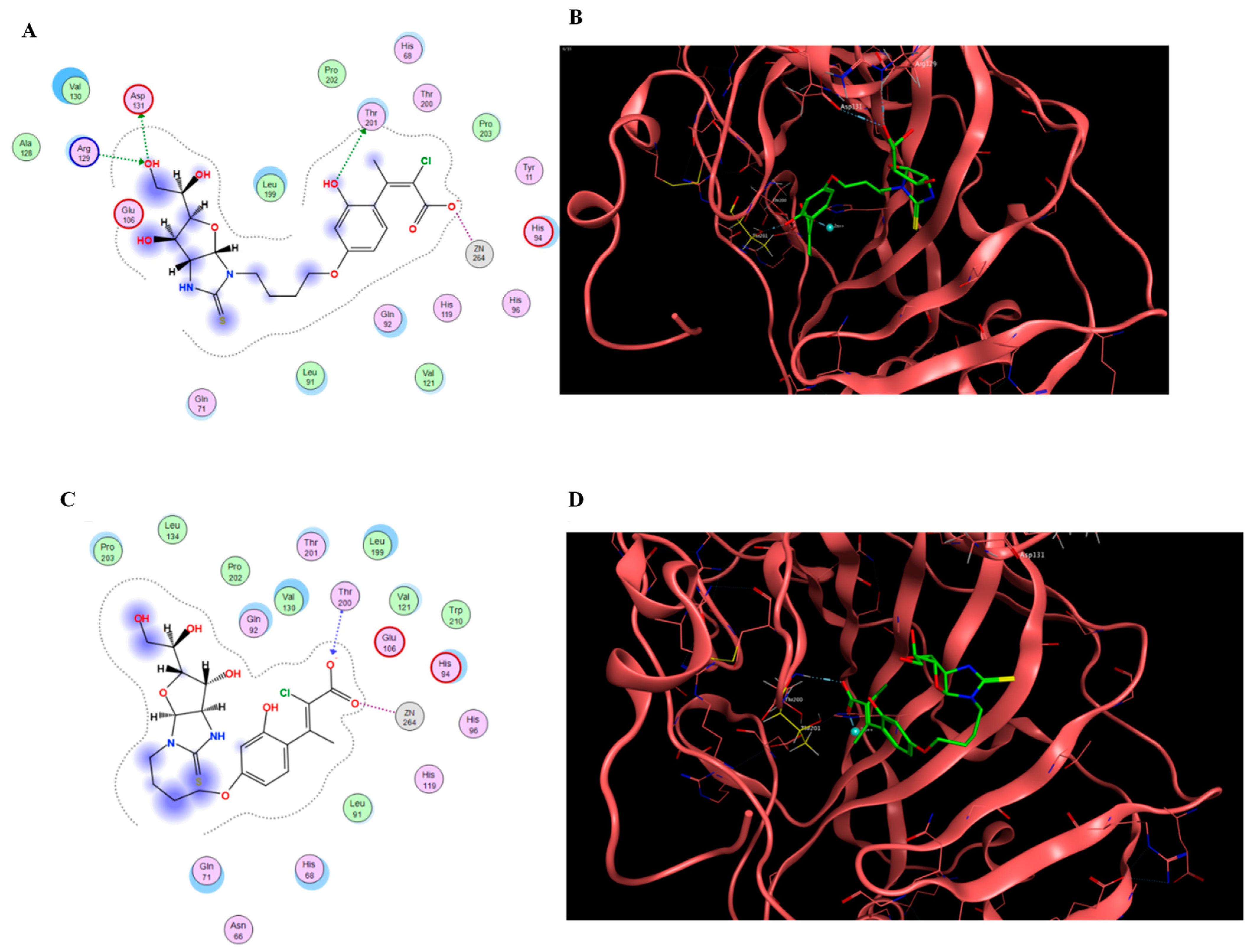 Ijms 24 09401 g004 Ijms 24 09401 g004
