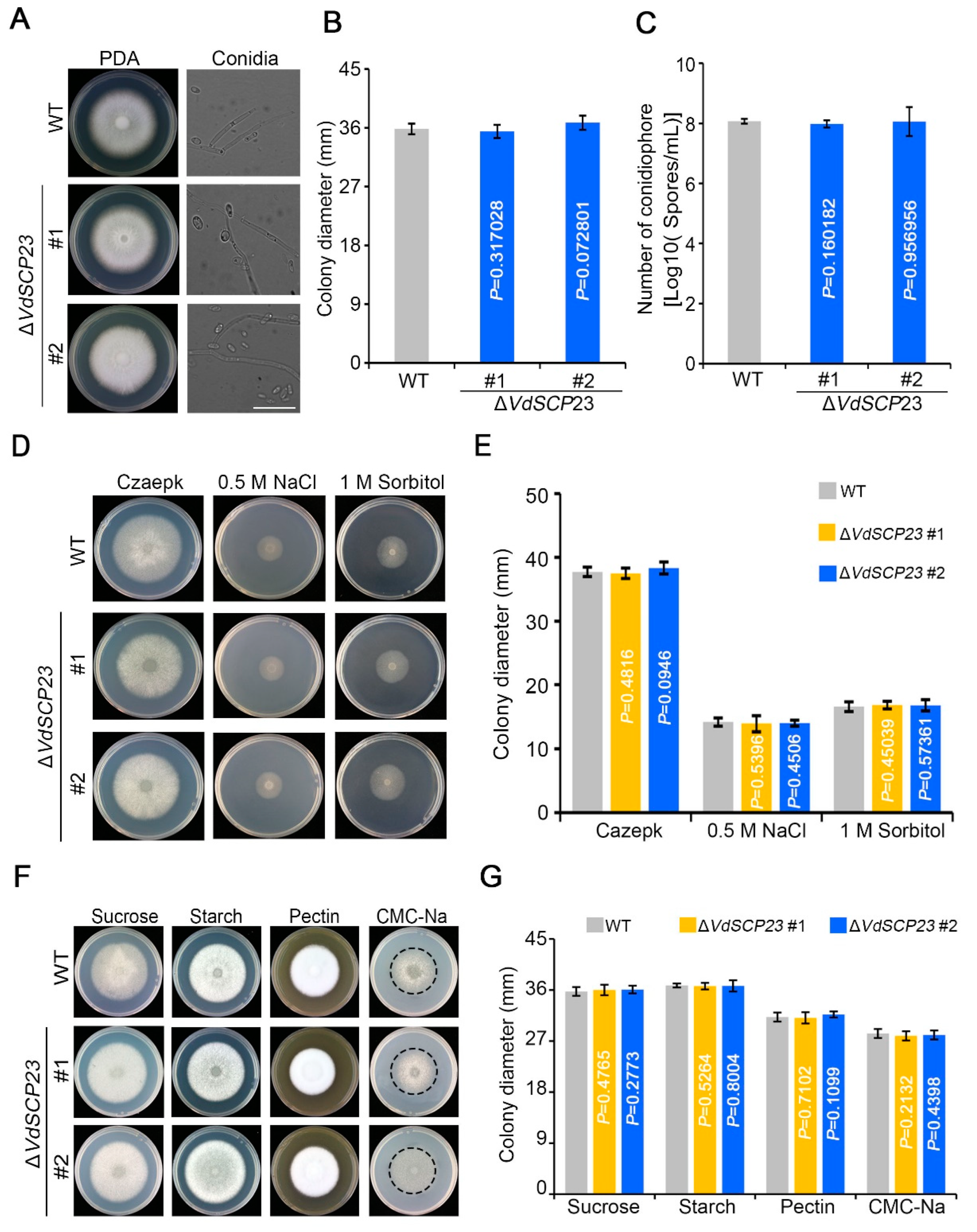 Ijms 24 09403 g006 Ijms 24 09403 g006