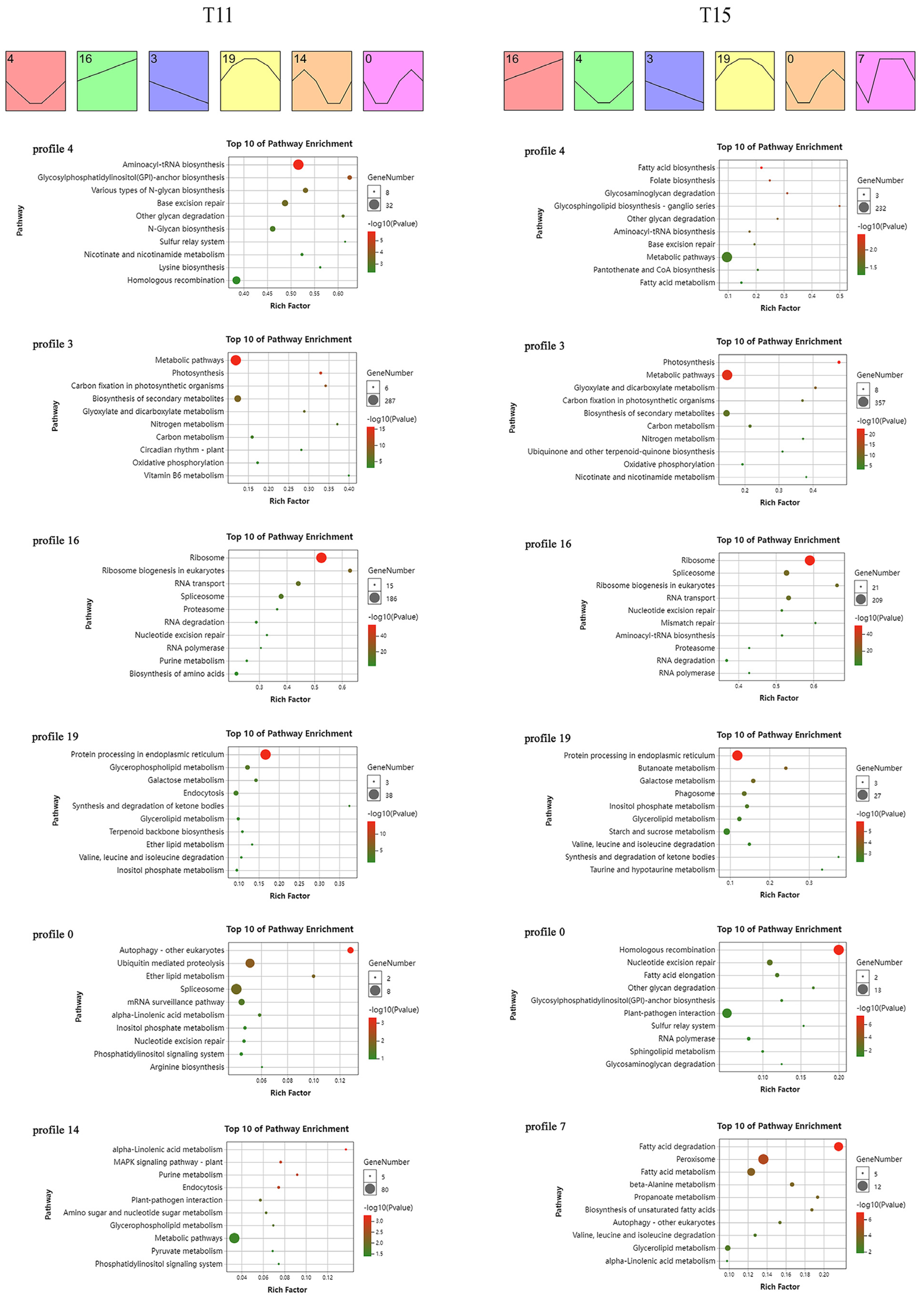 Ijms 24 09408 g004 Ijms 24 09408 g004