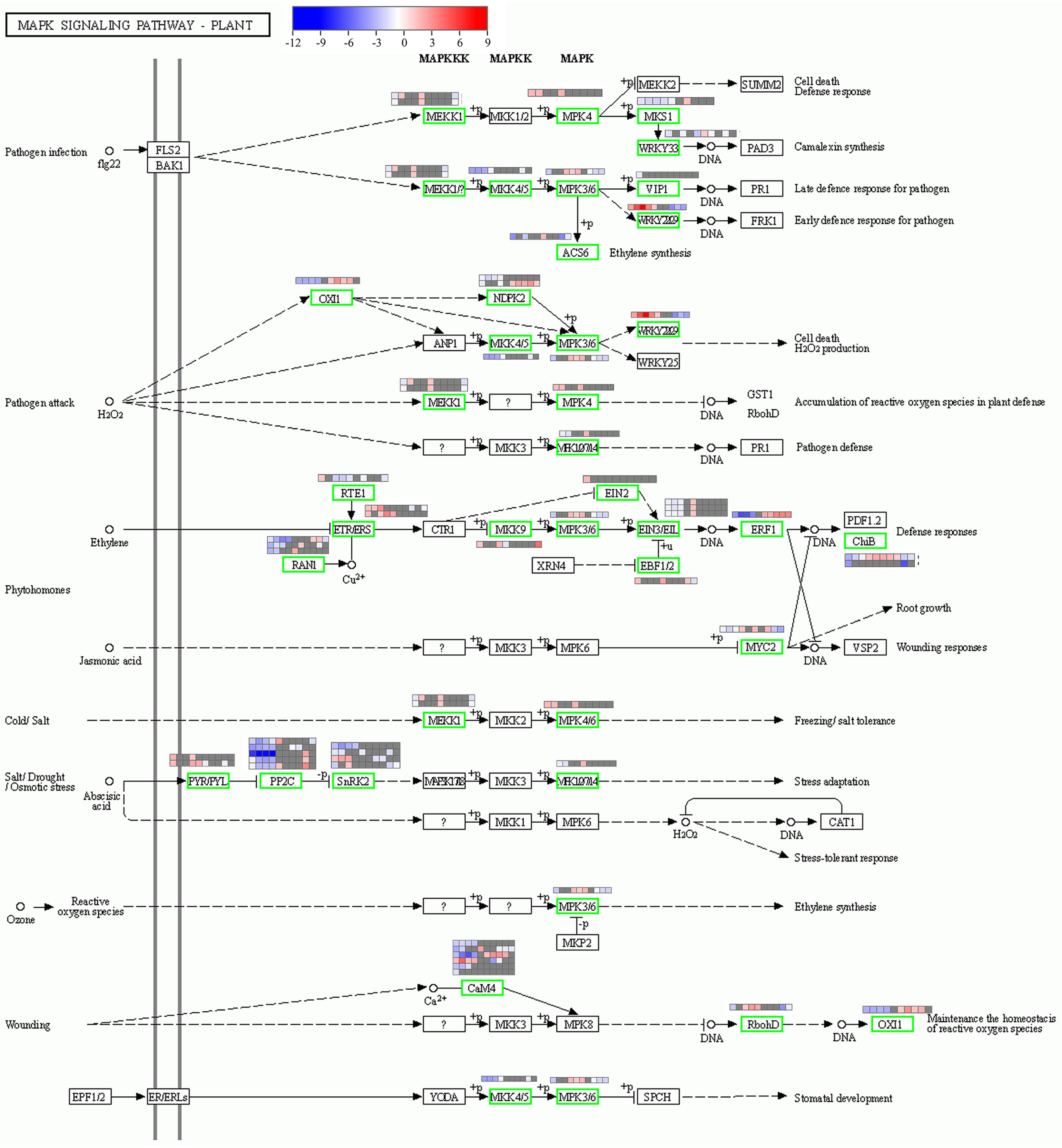 Ijms 24 09408 g006 Ijms 24 09408 g006