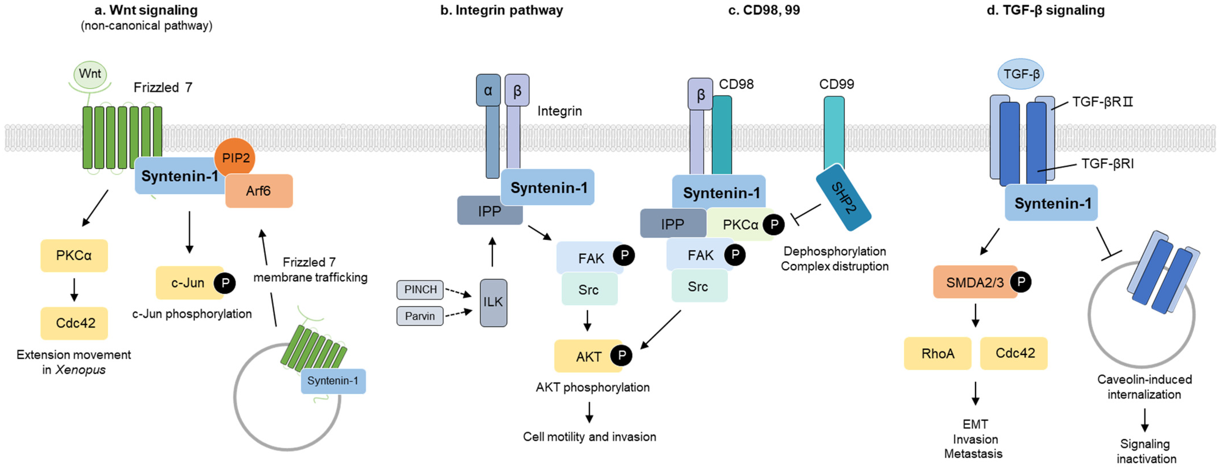 Ijms 24 09418 g003 Ijms 24 09418 g003