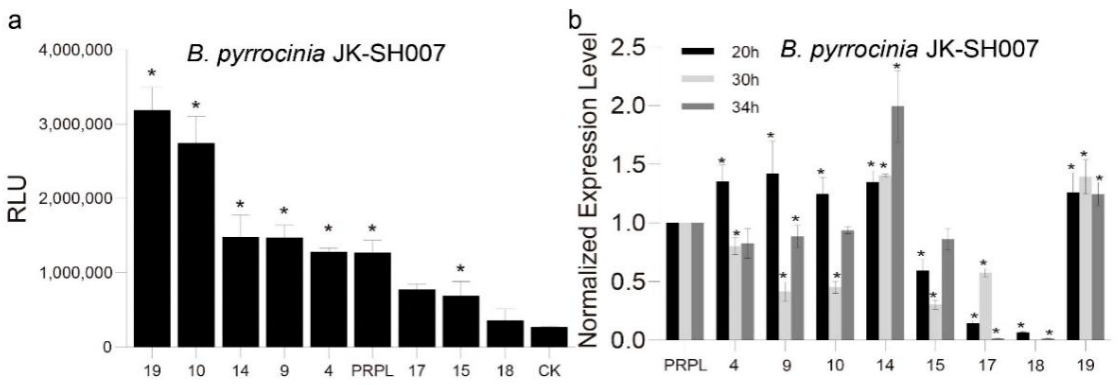 Ijms 24 09419 g002 Ijms 24 09419 g002