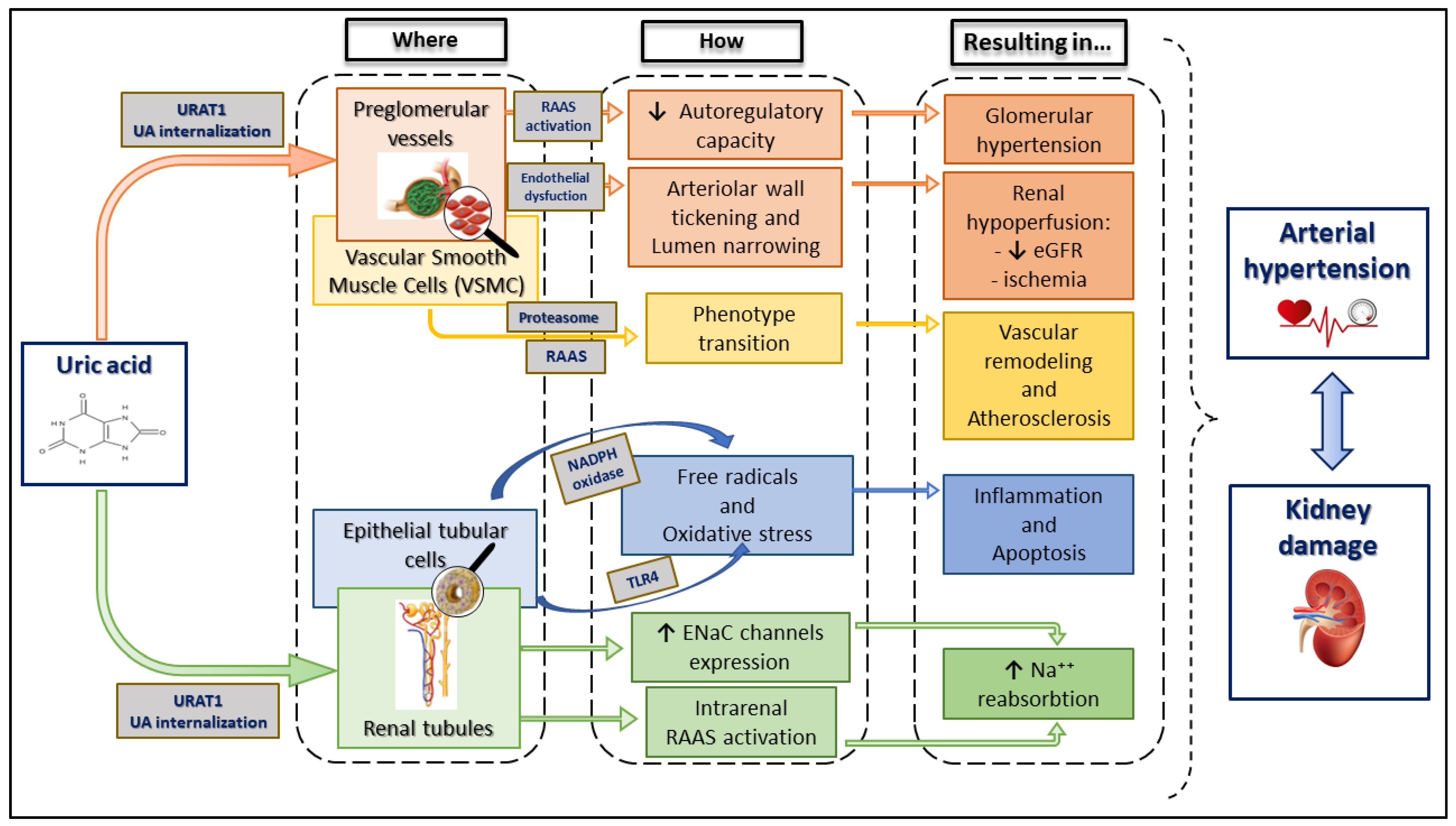 Ijms 24 09422 g002 Ijms 24 09422 g002