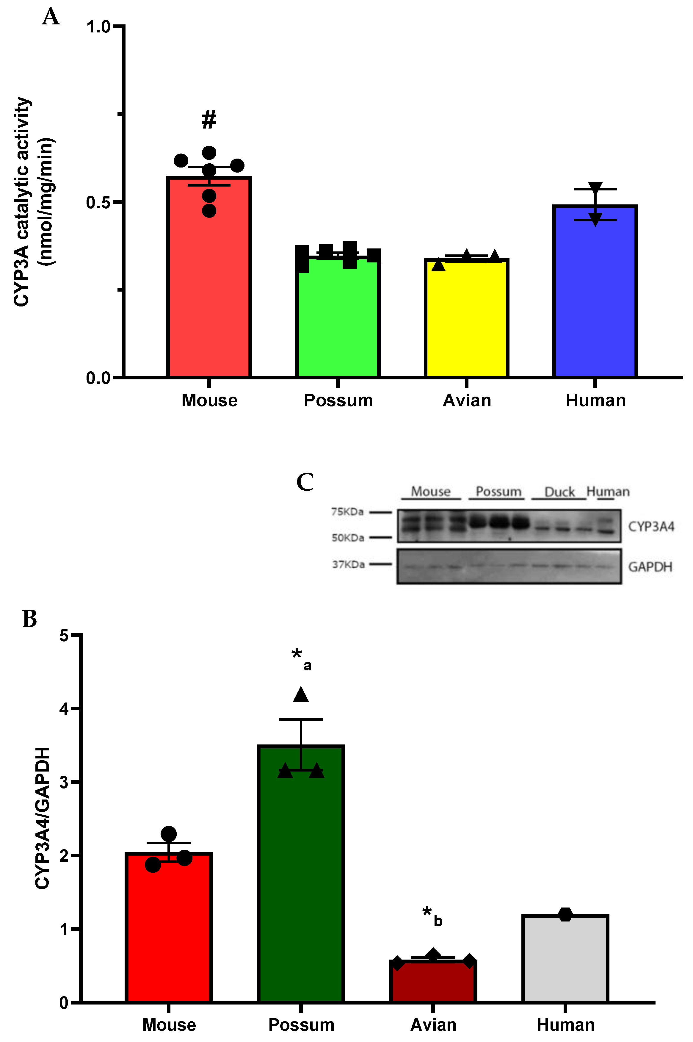 Ijms 24 09424 g001 Ijms 24 09424 g001