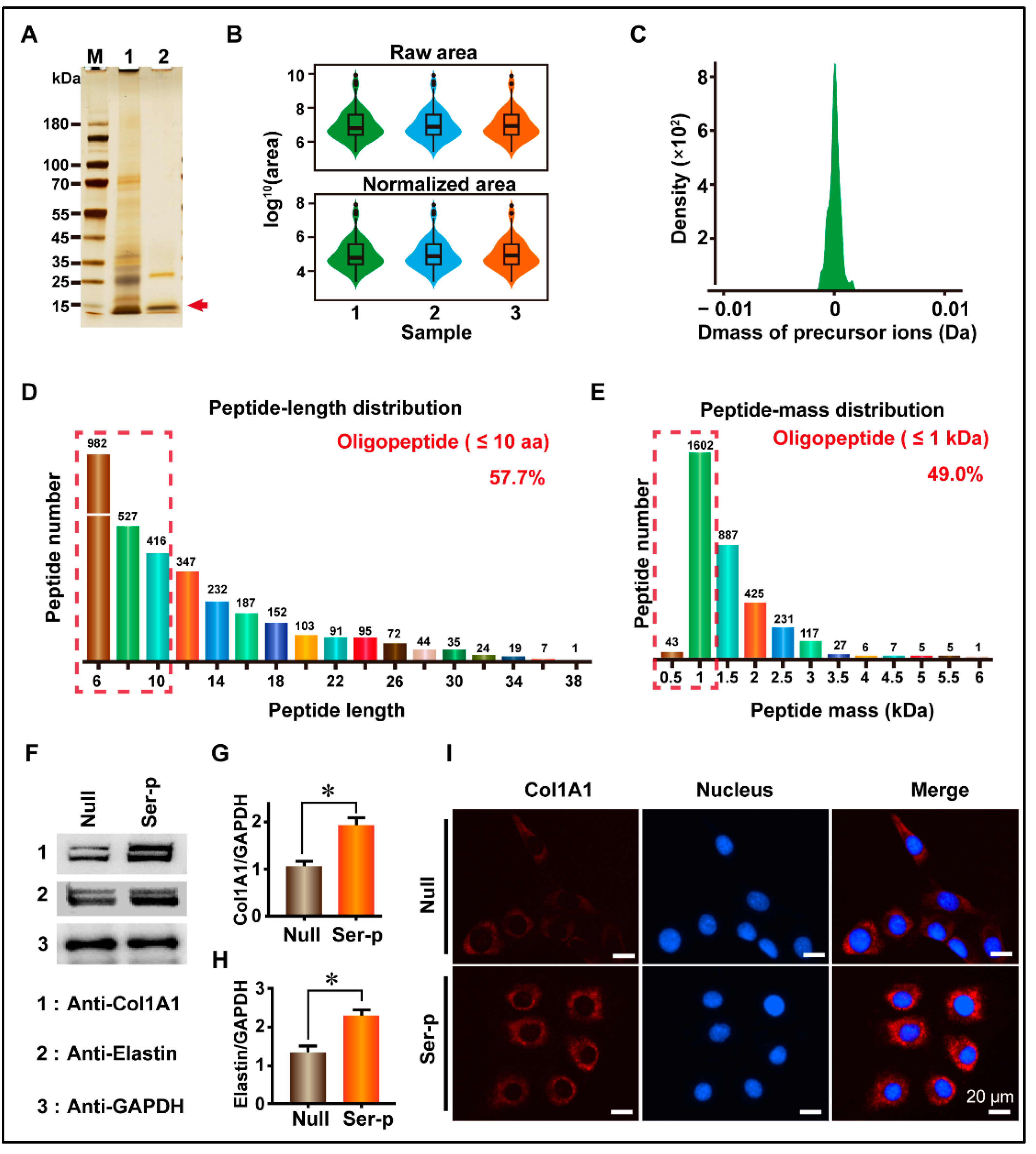 Ijms 24 09425 g001 Ijms 24 09425 g001