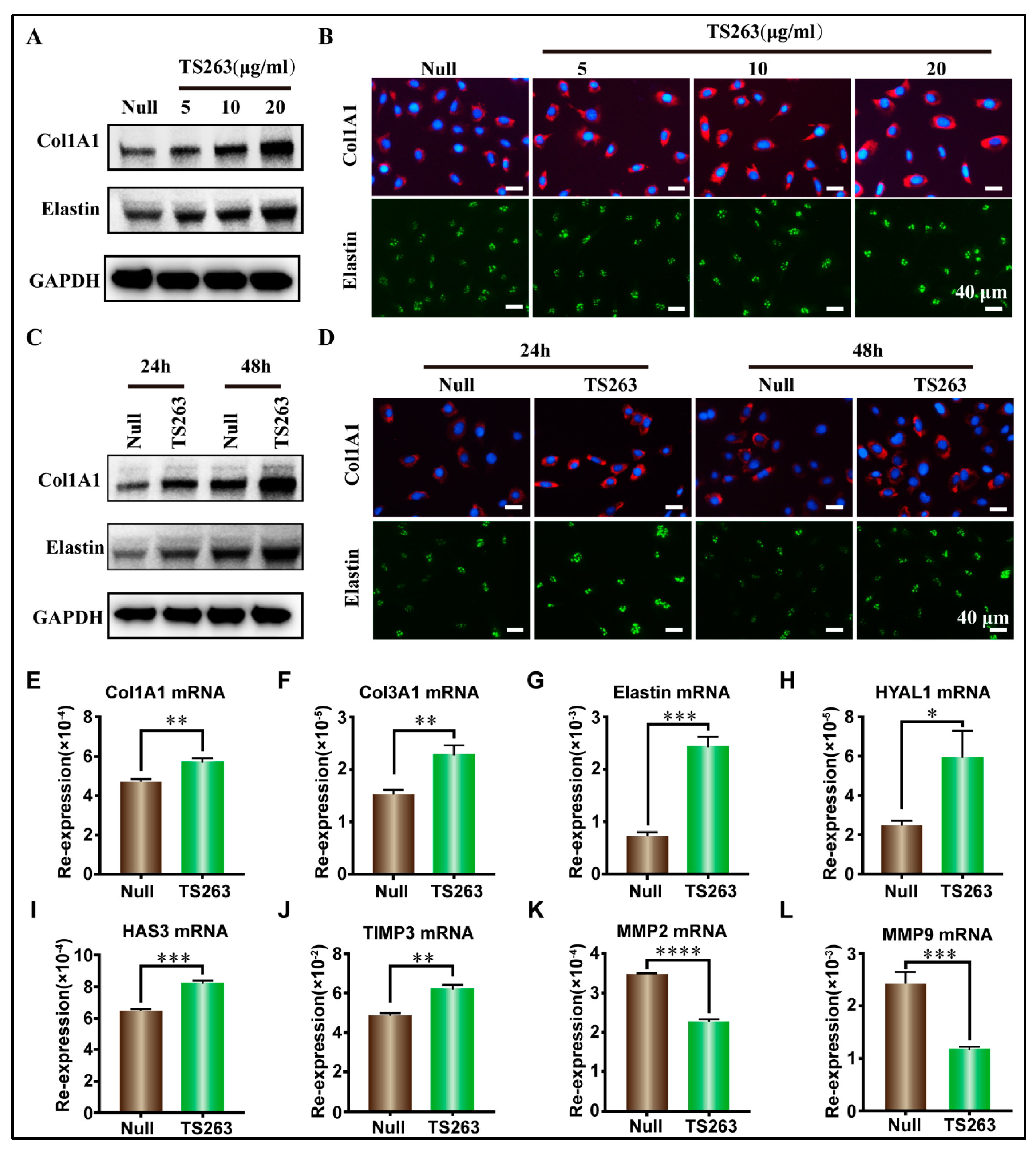Ijms 24 09425 g005 Ijms 24 09425 g005