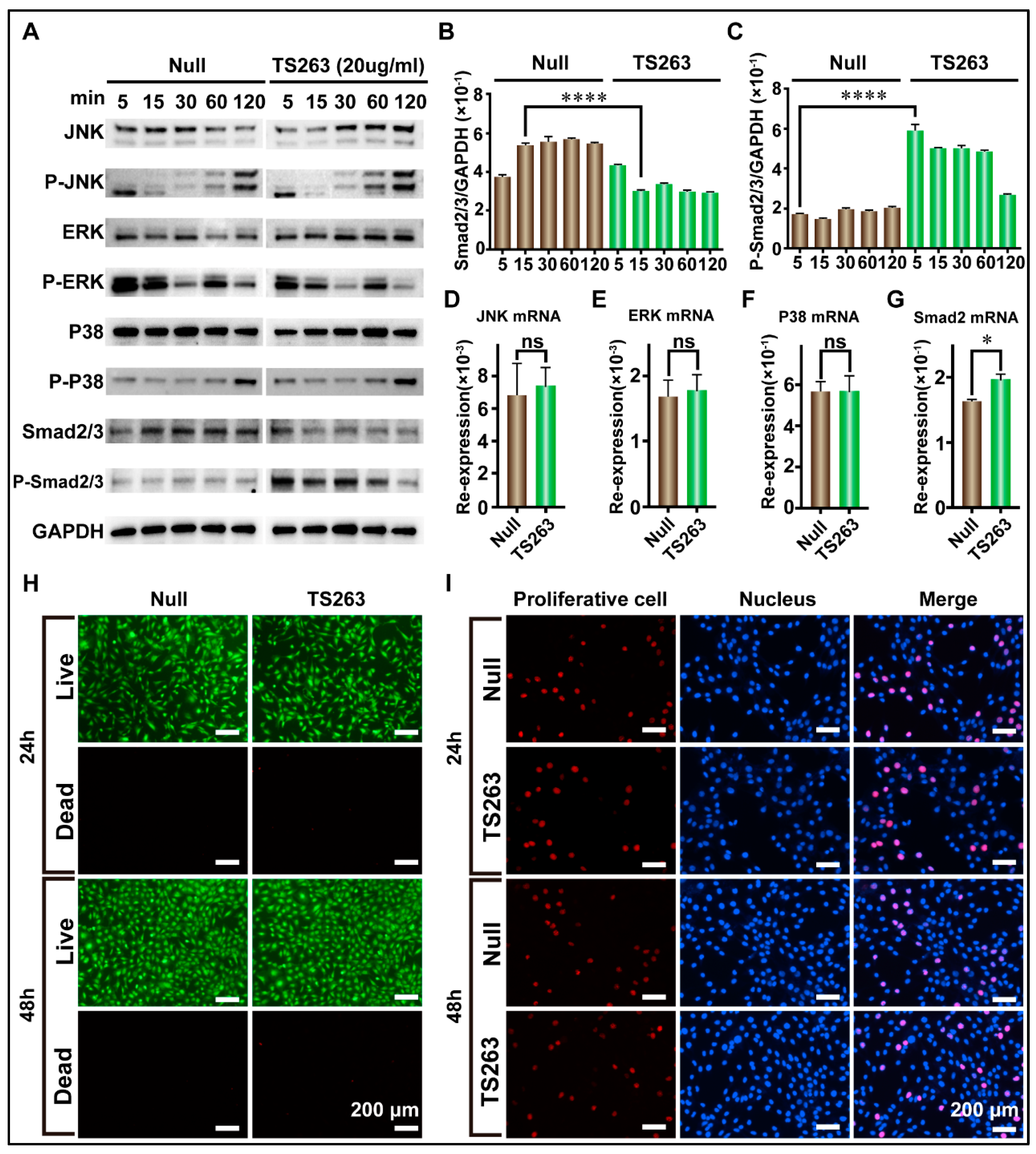 Ijms 24 09425 g006 Ijms 24 09425 g006