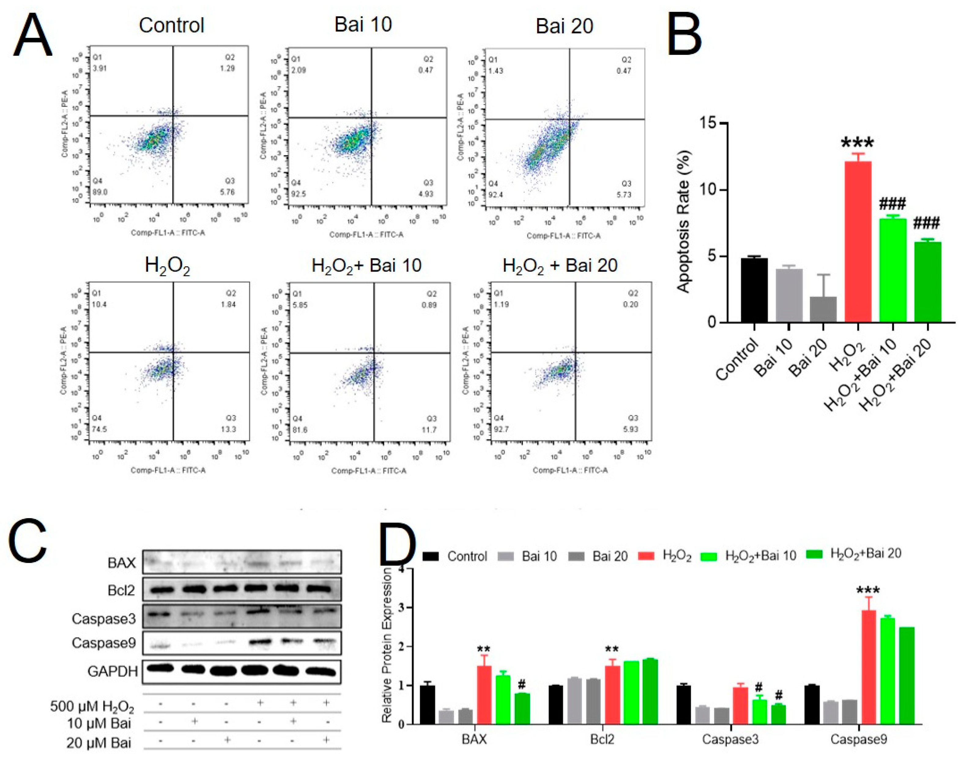 Ijms 24 09435 g002 Ijms 24 09435 g002