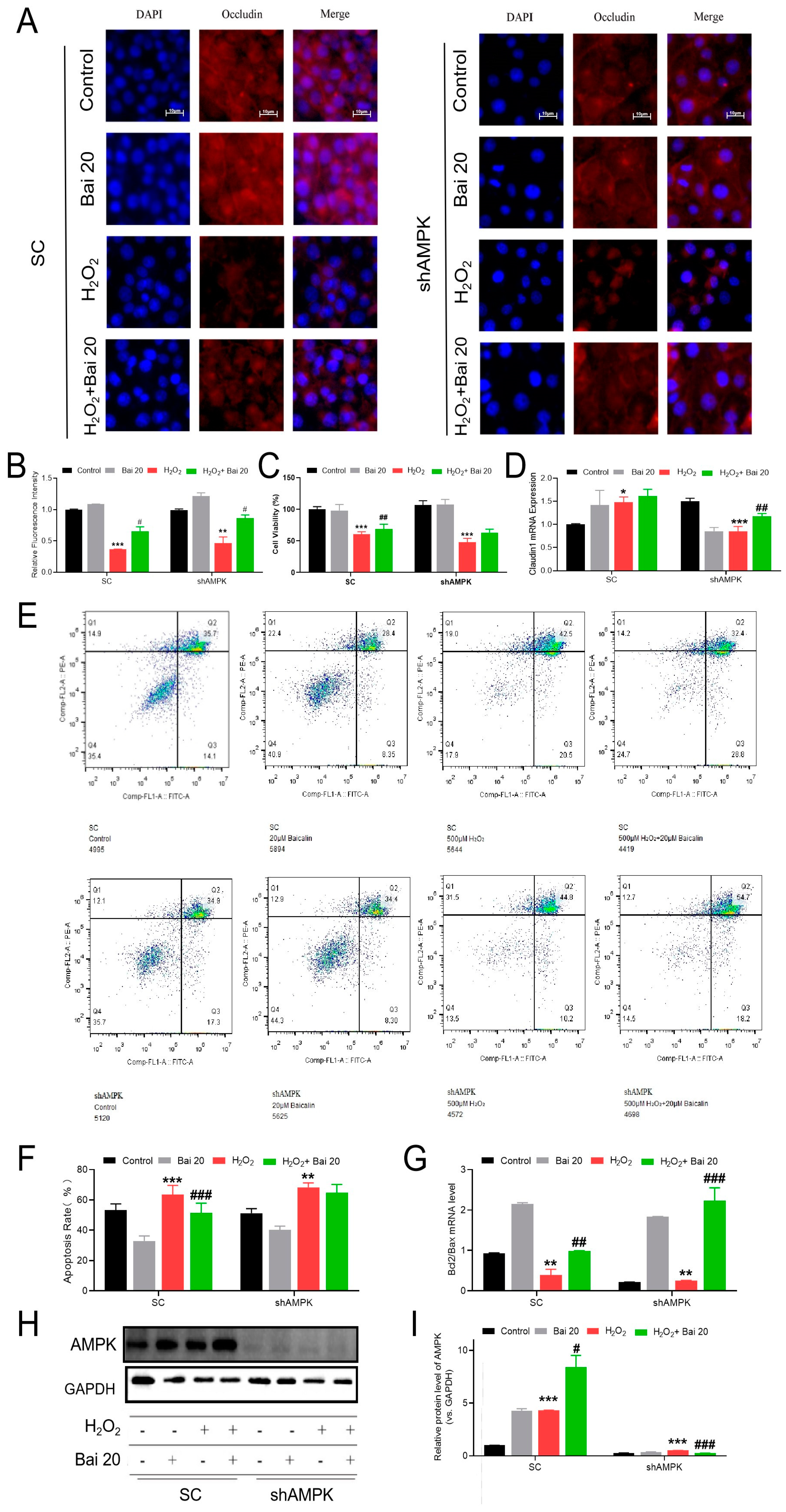Ijms 24 09435 g004 Ijms 24 09435 g004