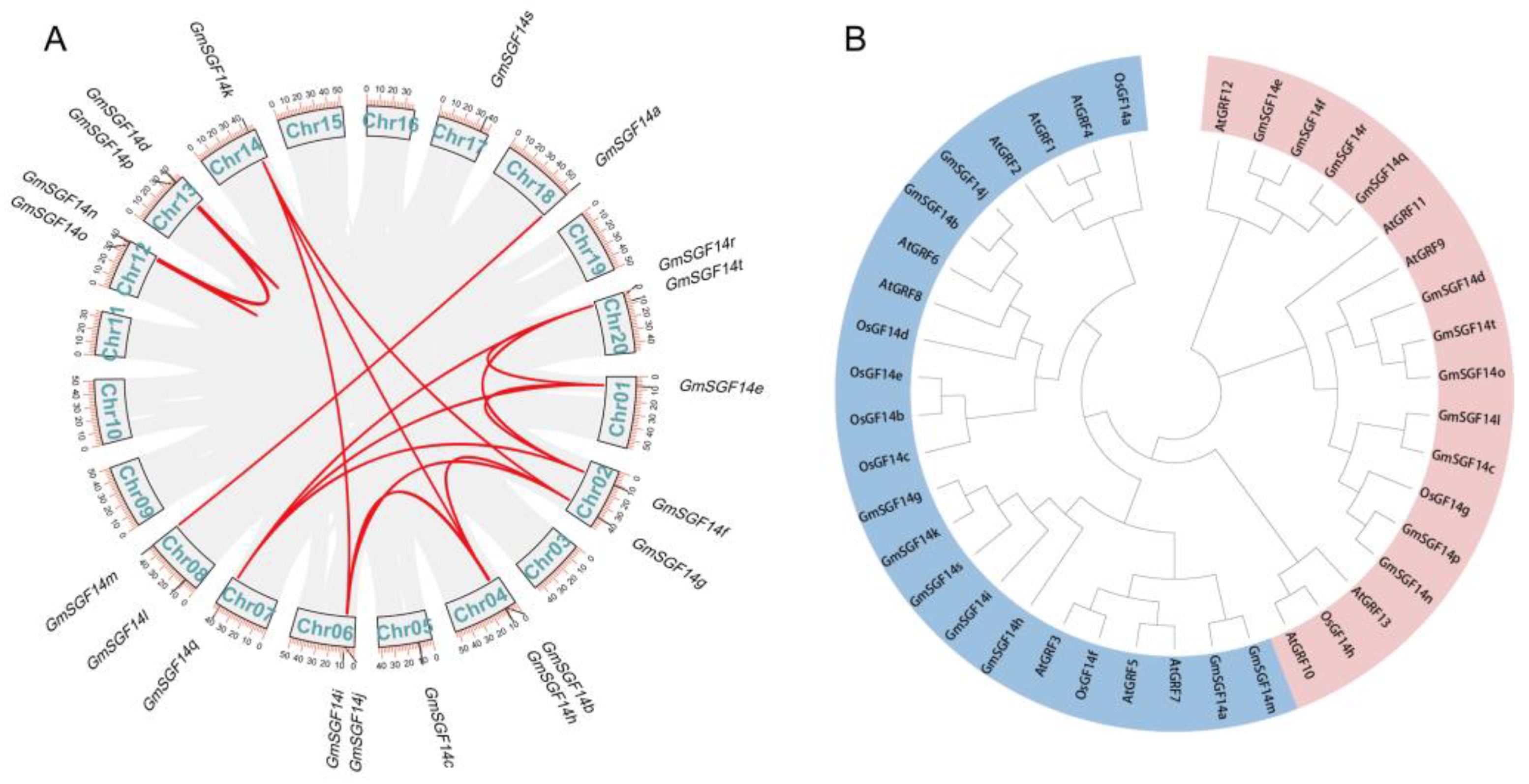Ijms 24 09436 g001 Ijms 24 09436 g001