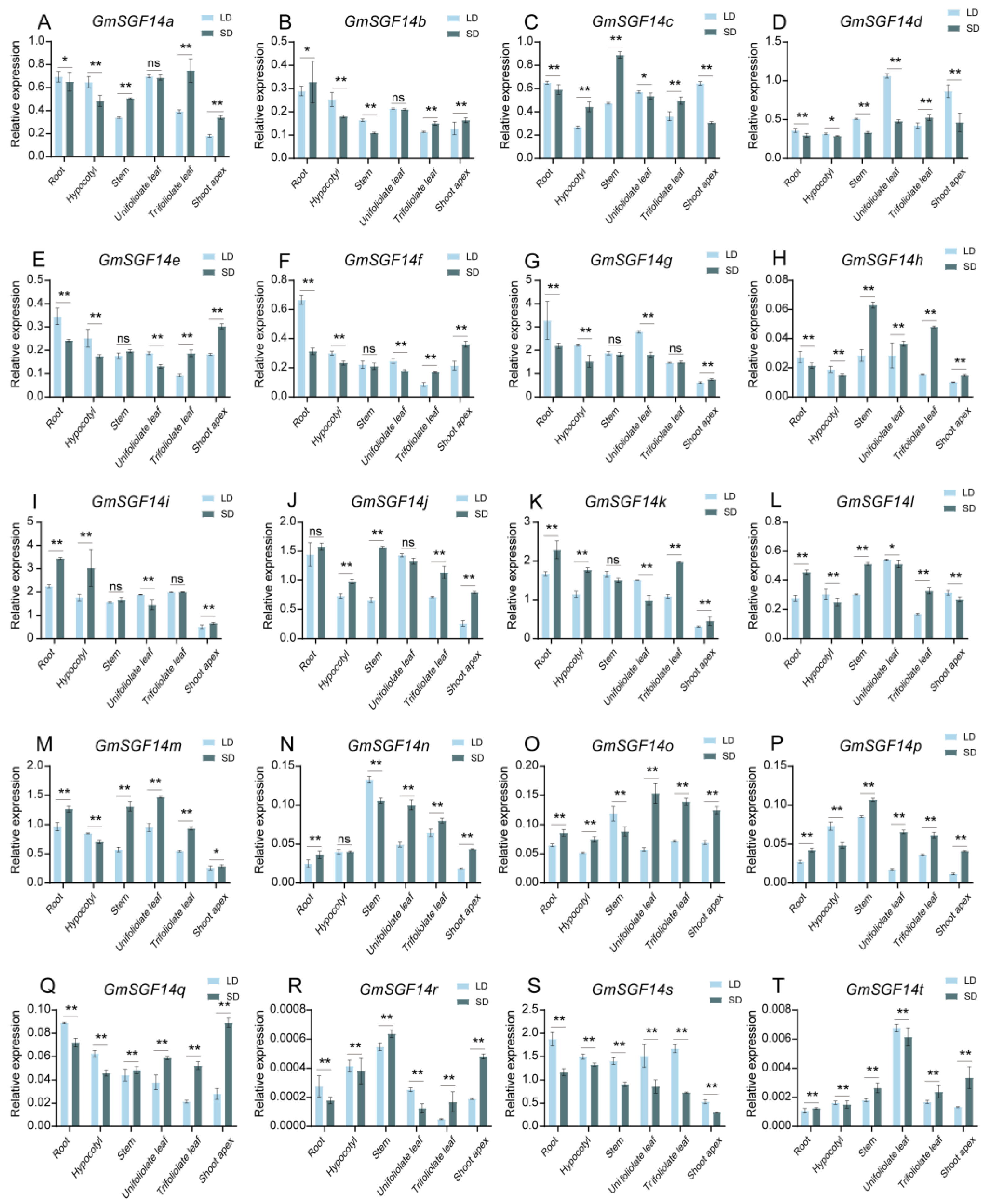 Ijms 24 09436 g003 Ijms 24 09436 g003