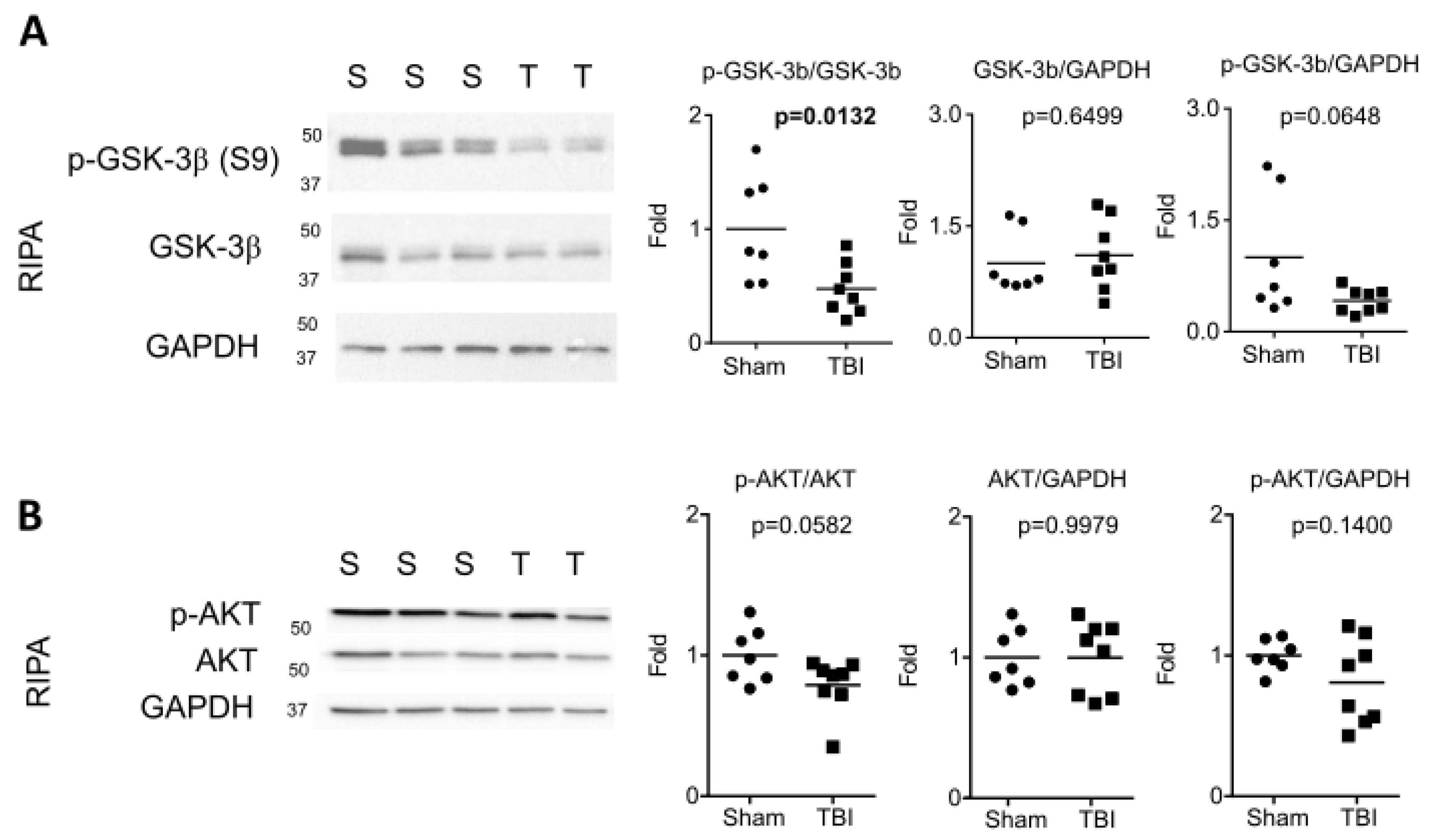 Ijms 24 09439 g002 Ijms 24 09439 g002