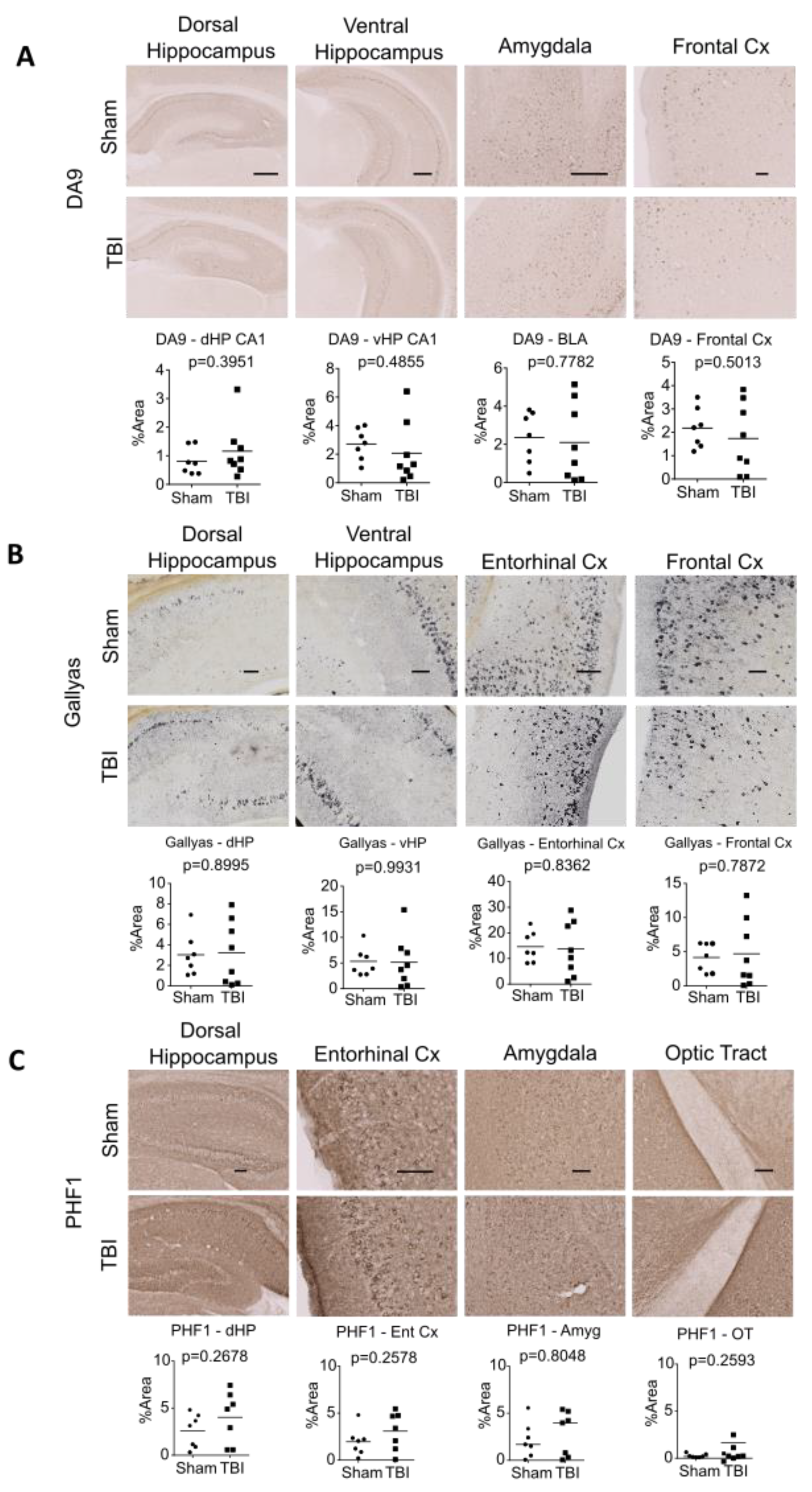 Ijms 24 09439 g004a Ijms 24 09439 g004a