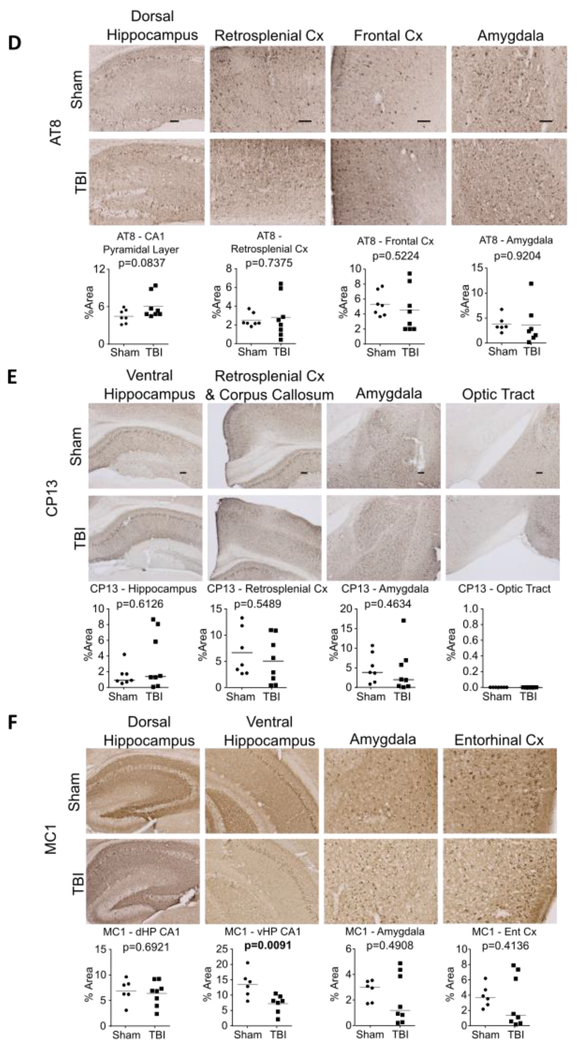 Ijms 24 09439 g004b Ijms 24 09439 g004b