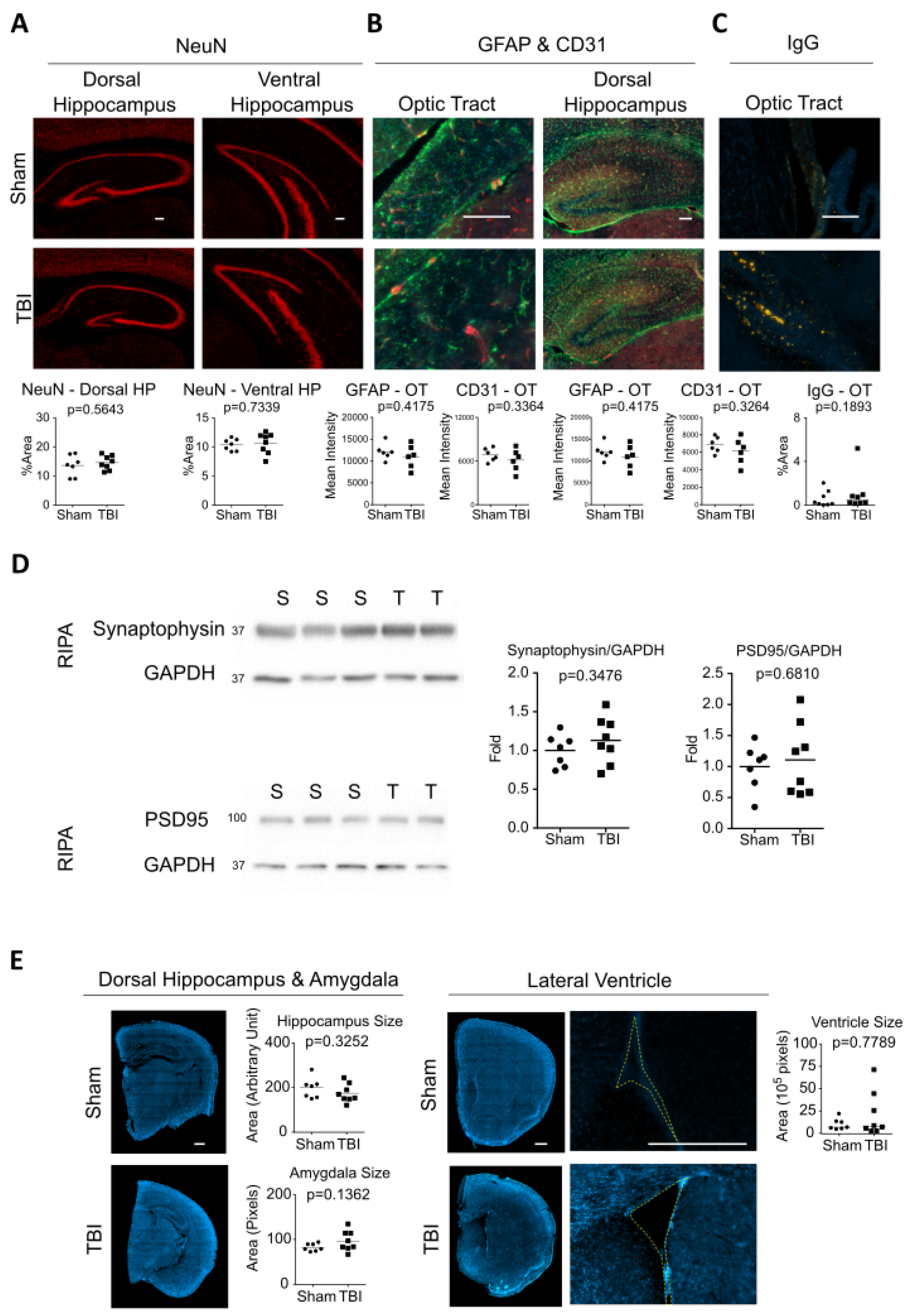Ijms 24 09439 g005 Ijms 24 09439 g005
