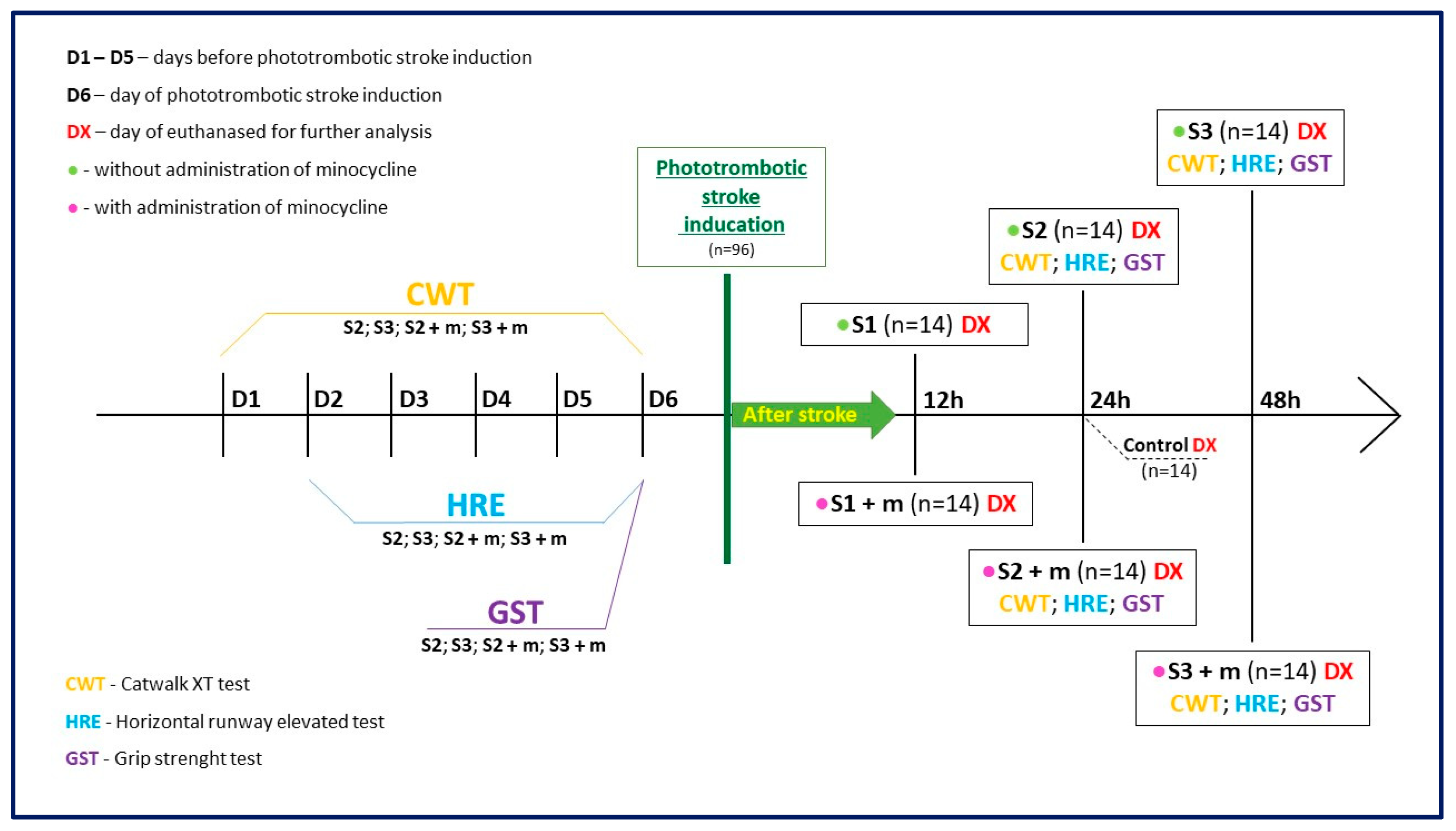 Ijms 24 09446 g001 Ijms 24 09446 g001