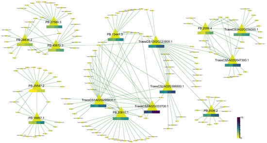 イメージ画像 Sweatshirt MISBHV Basquiat Edition Discography II Hoodie 122U225B