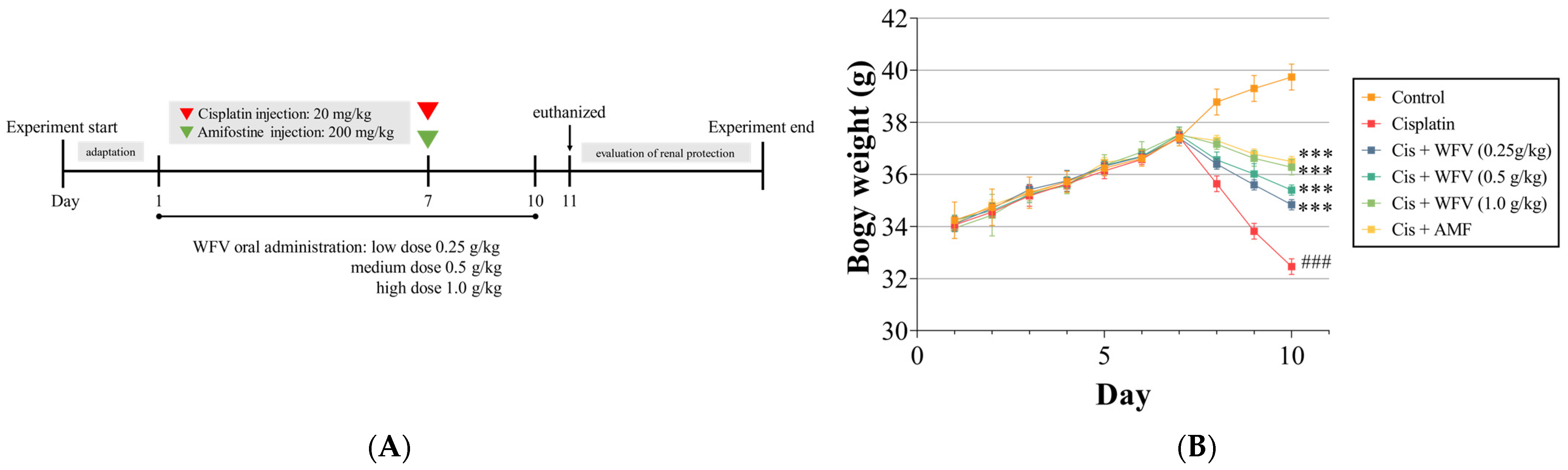 Ijms 24 09448 g001a Ijms 24 09448 g001a