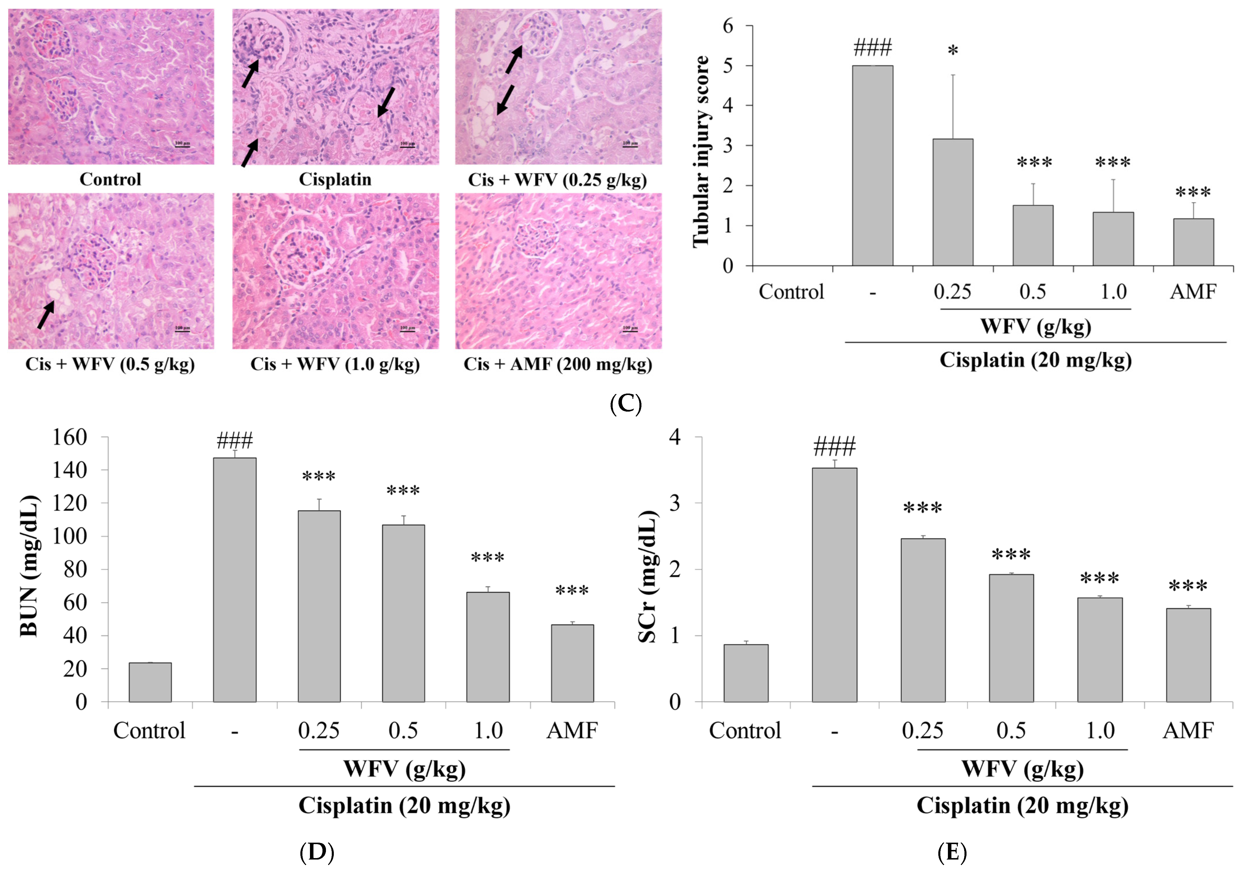 Ijms 24 09448 g001b Ijms 24 09448 g001b