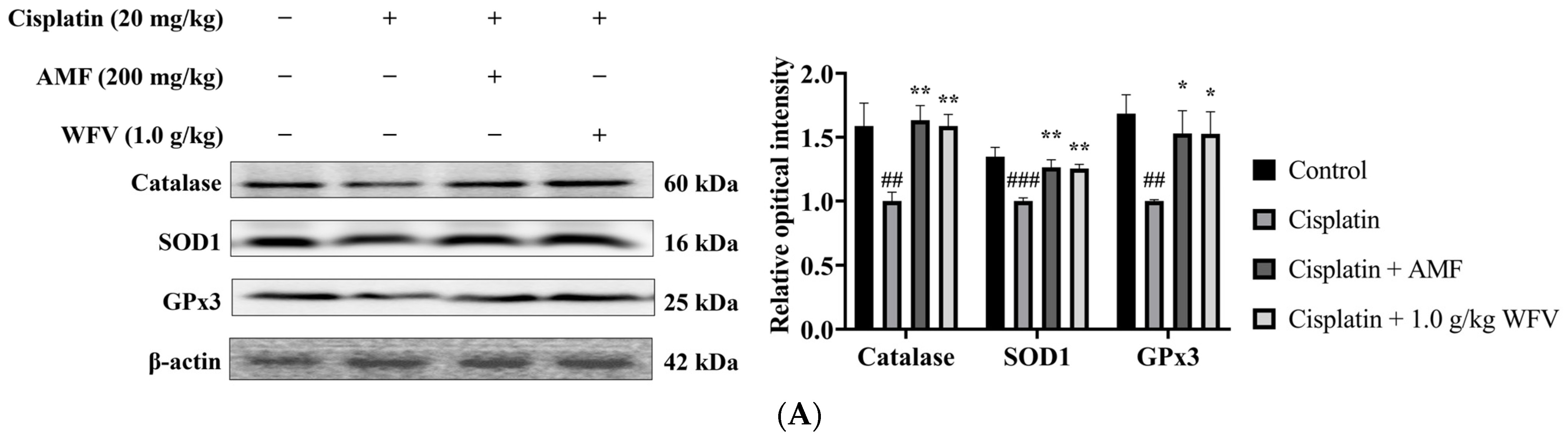 Ijms 24 09448 g003a Ijms 24 09448 g003a