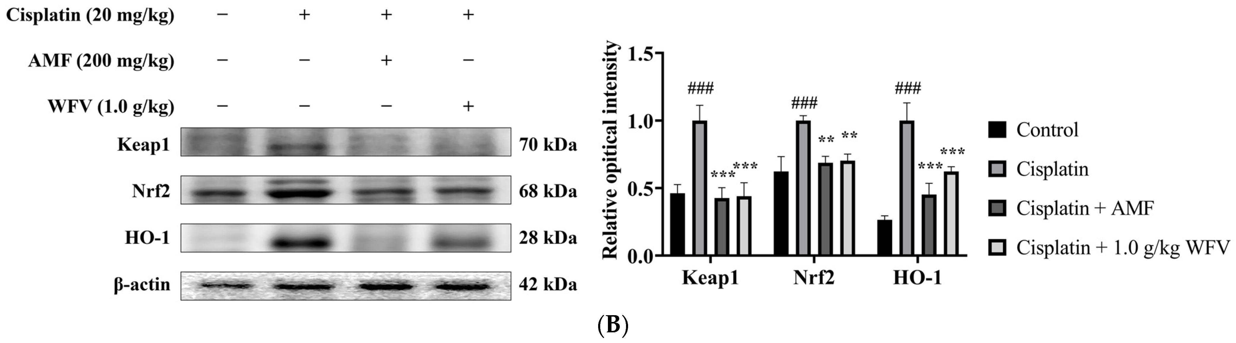 Ijms 24 09448 g003b Ijms 24 09448 g003b