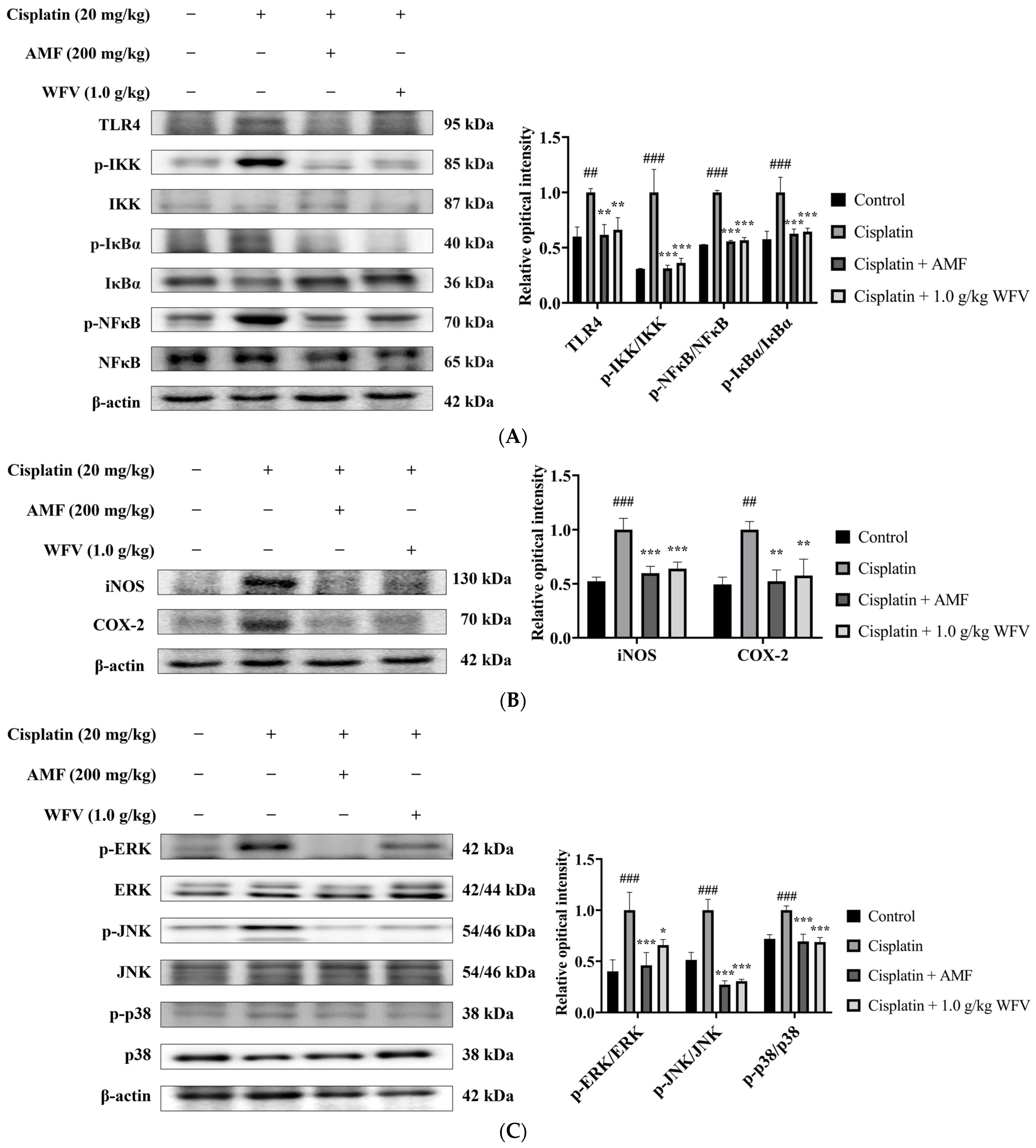Ijms 24 09448 g005 Ijms 24 09448 g005
