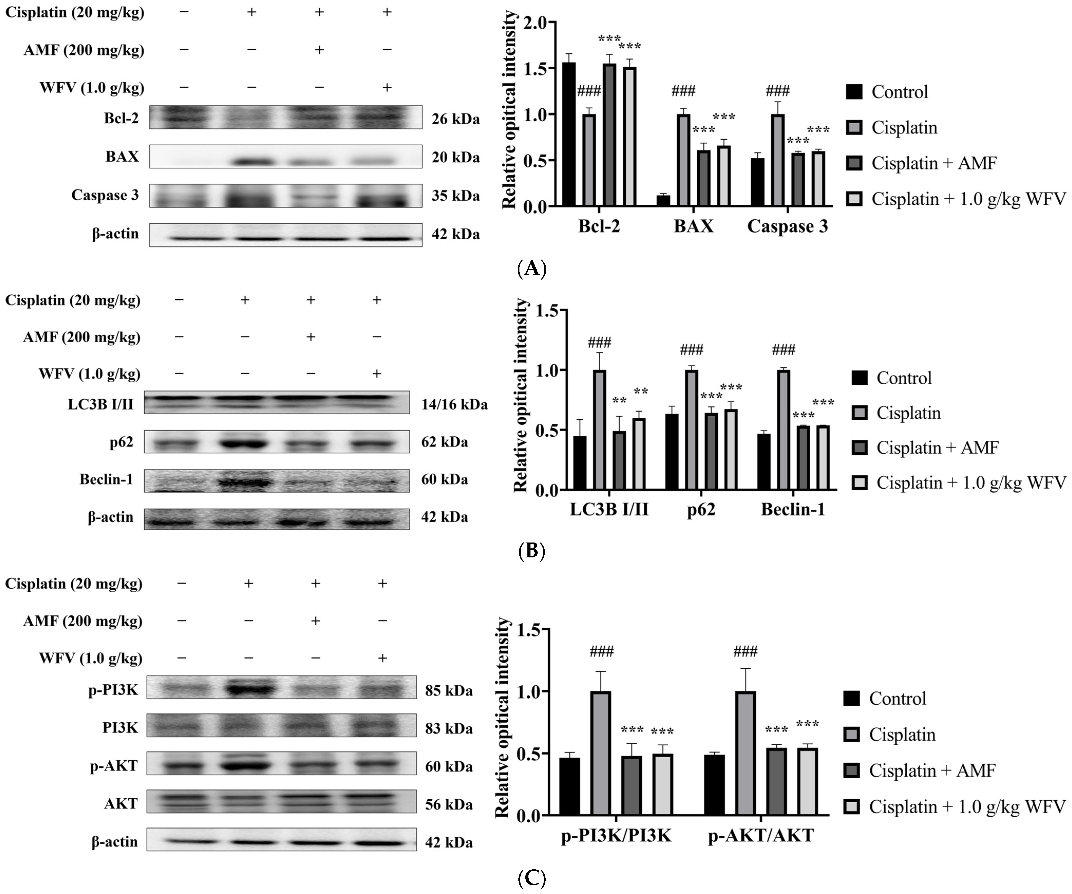 Ijms 24 09448 g006 Ijms 24 09448 g006