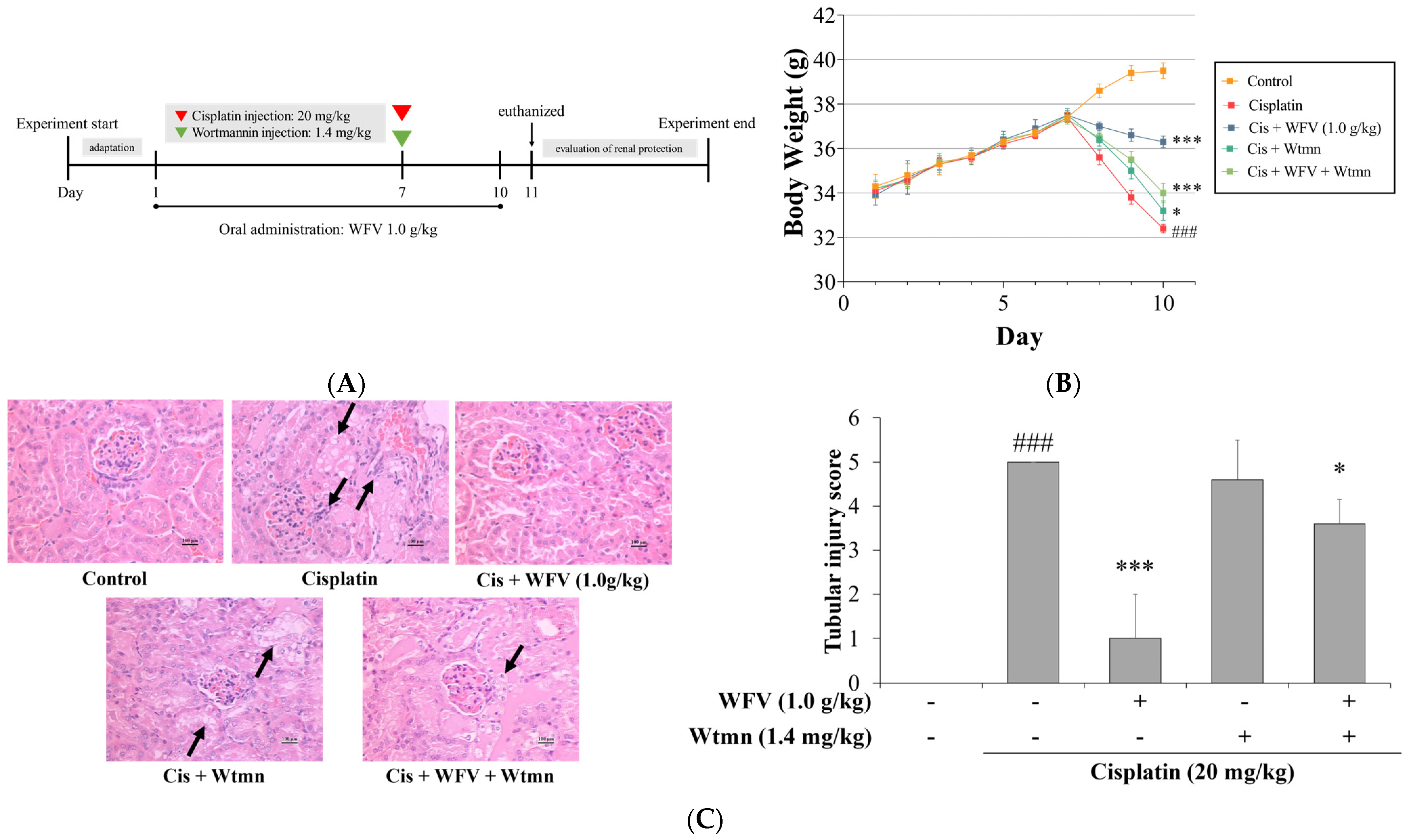 Ijms 24 09448 g007a Ijms 24 09448 g007a