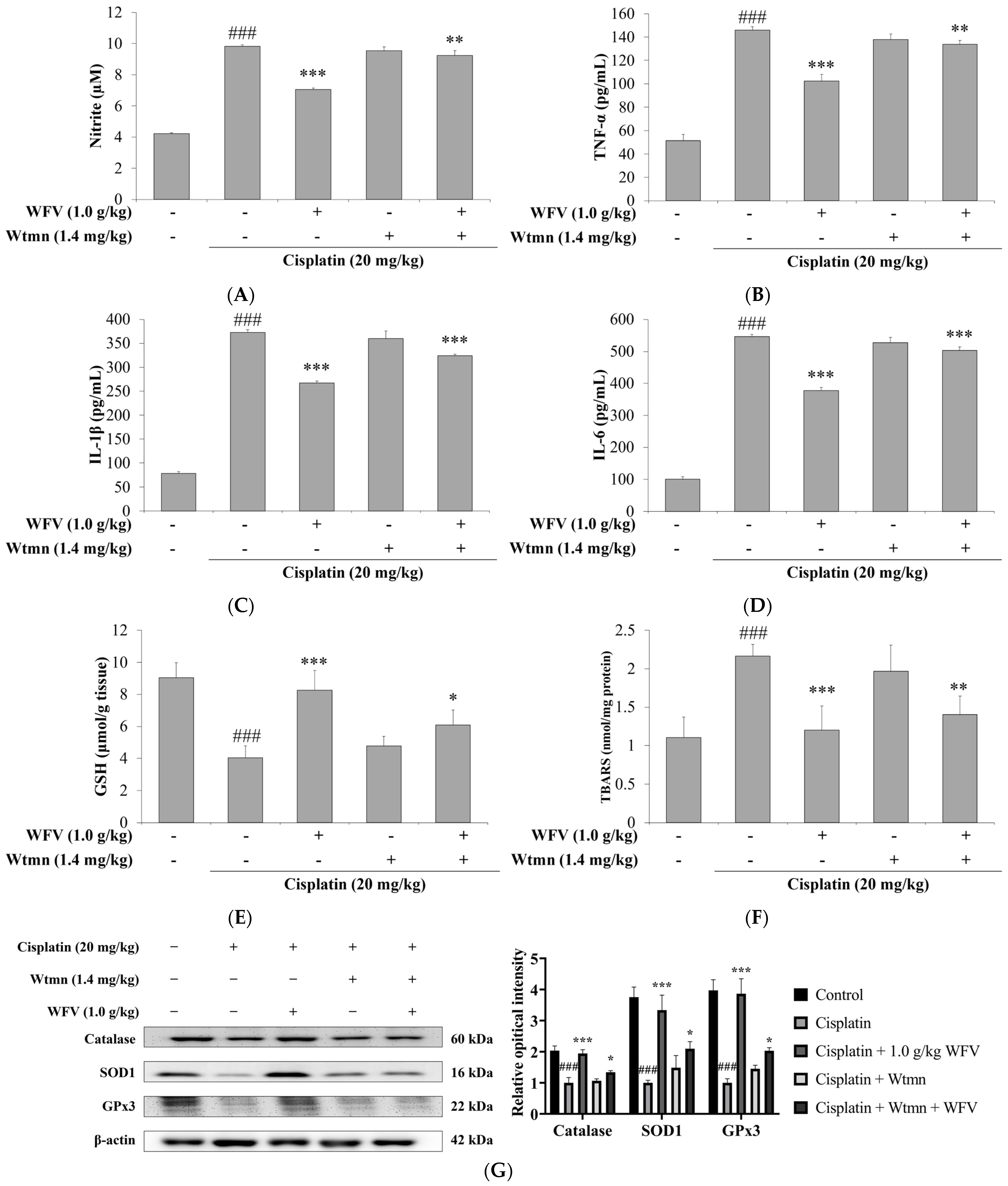 Ijms 24 09448 g008 Ijms 24 09448 g008